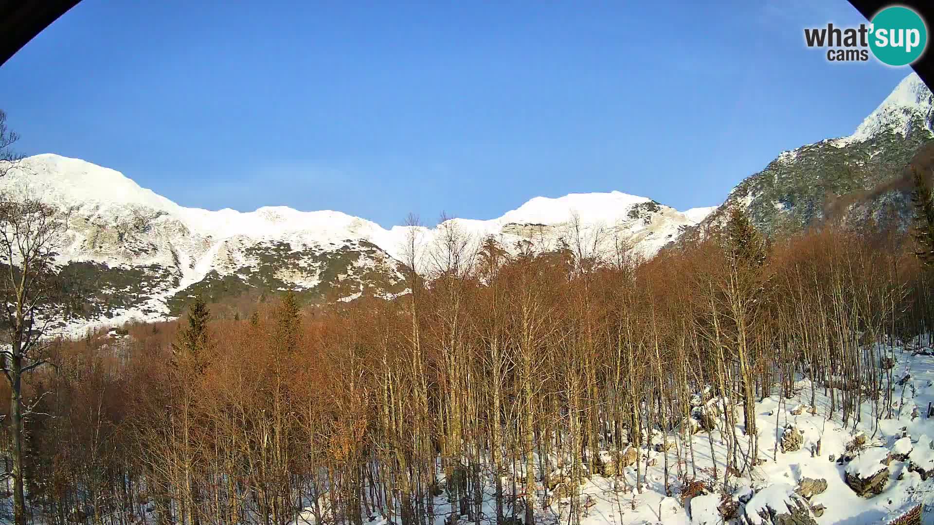 Webcam PLANINA RAZOR (1315) | Blick auf Vogel und Globoko