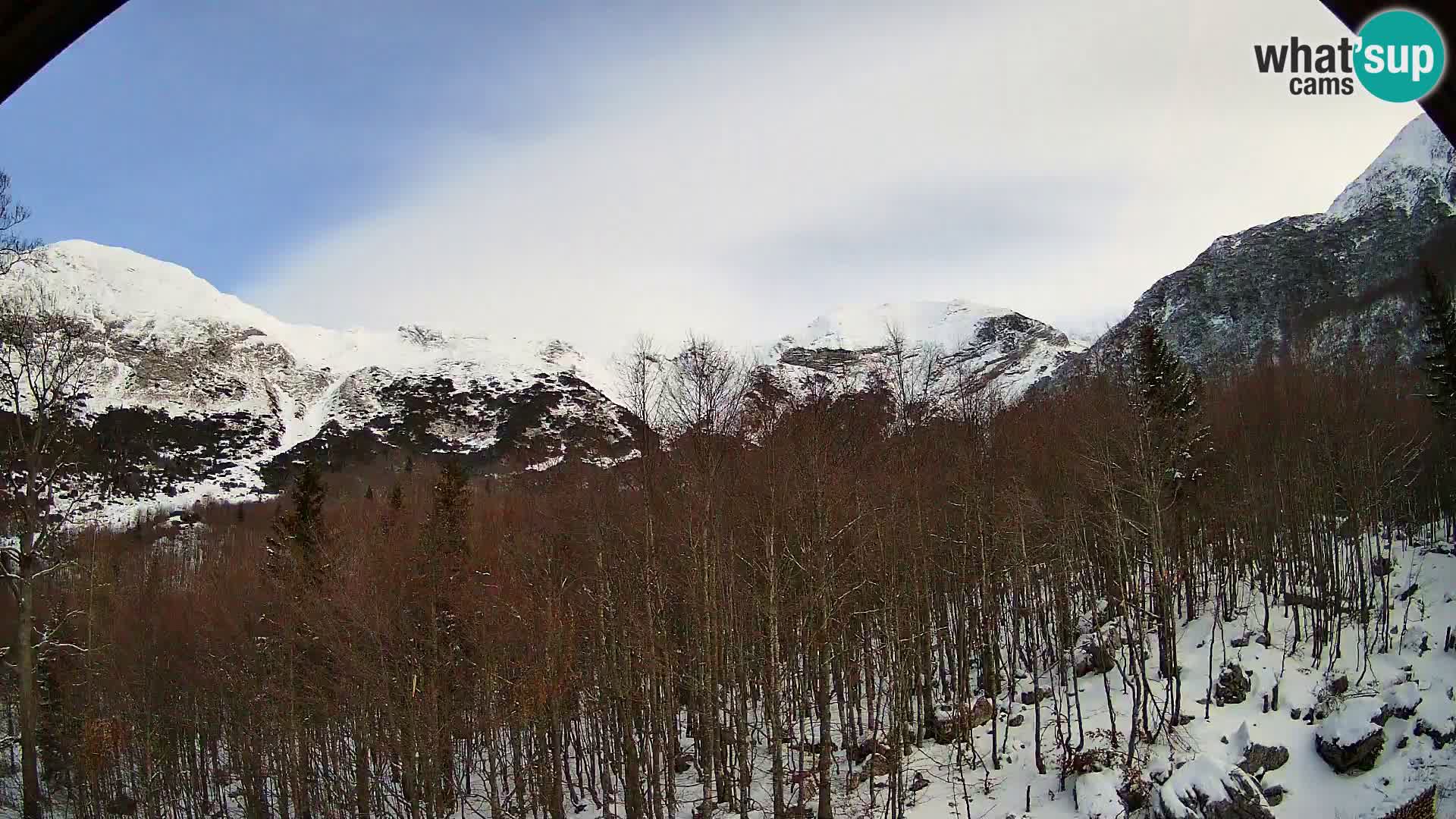Livecam PLANINA RAZOR (1315) | vue sur Vogel et Globoko
