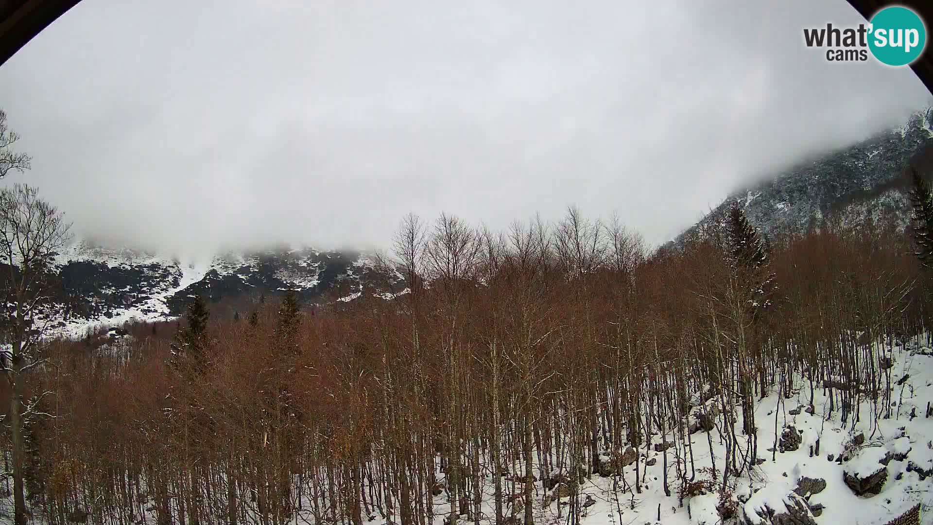 Webcam PLANINA RAZOR (1315) | Blick auf Vogel und Globoko