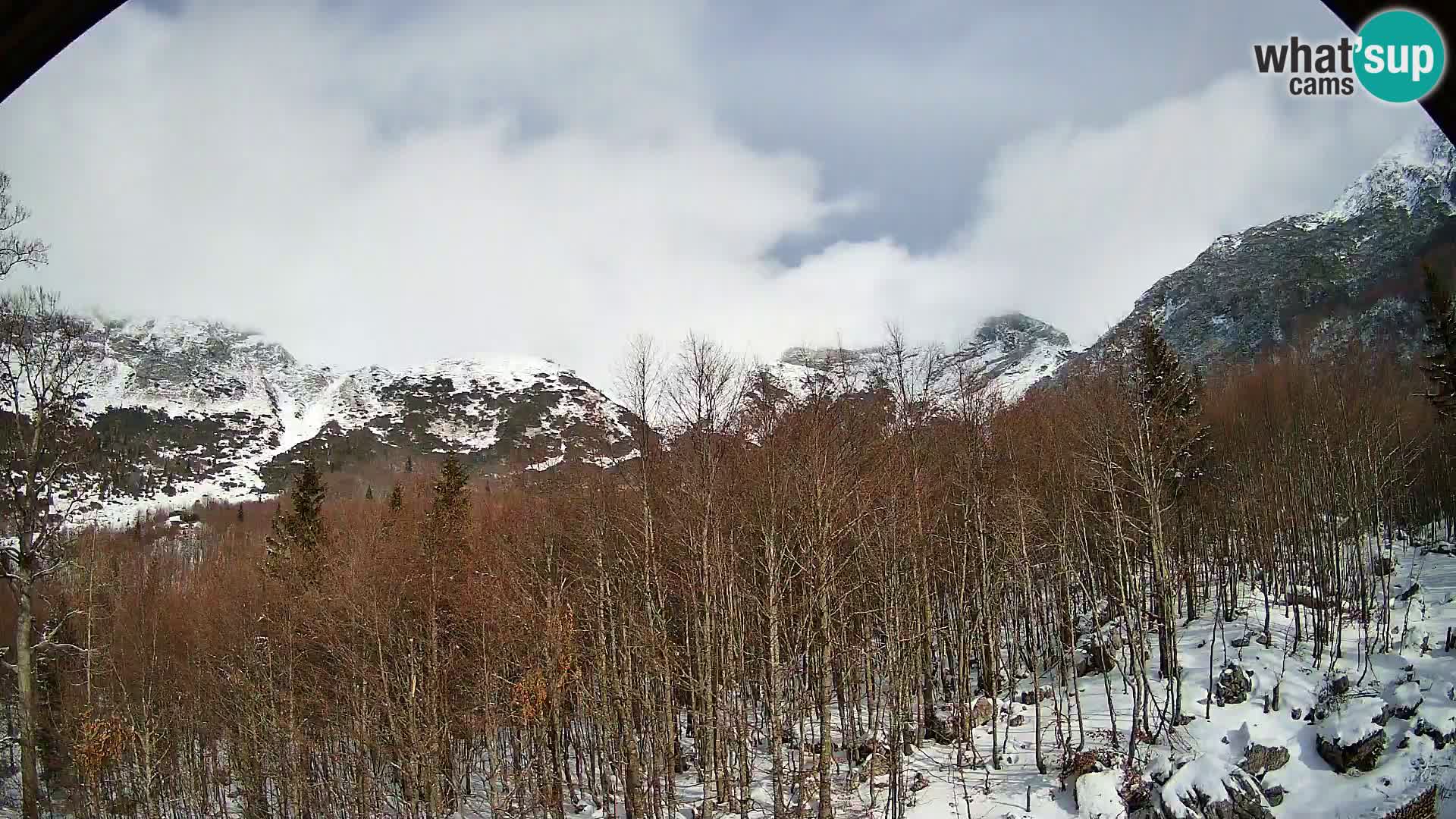 Cámara web PLANINA RAZOR (1315) | vista a Vogel y Globoko