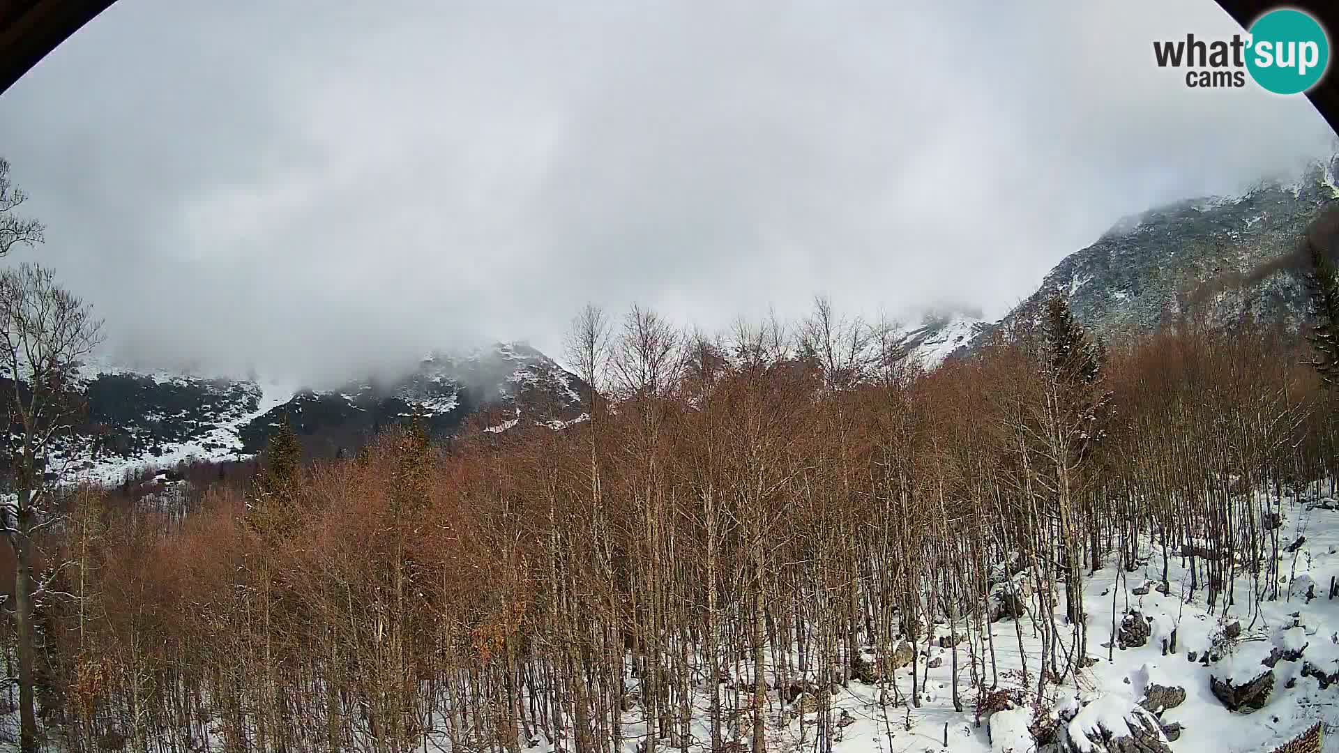 PLANINA RAZOR Live Cam (1315) | vista su Vogel e Globoko
