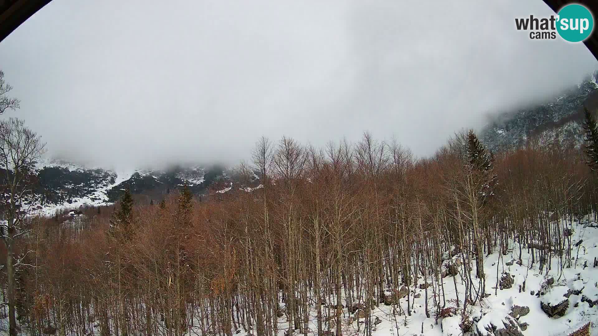 PLANINA RAZOR kamera (1315) | pogled na Vogel in Globoko