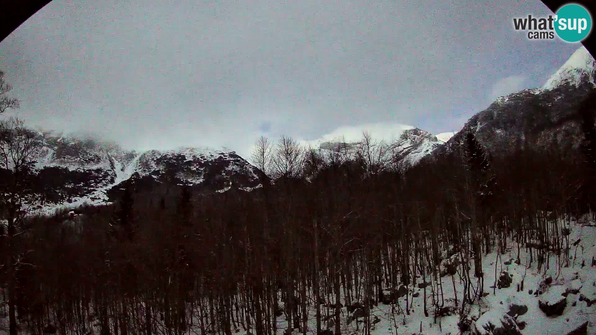 PLANINA RAZOR web kamera (1315) | pogled na Vogel i Globoko