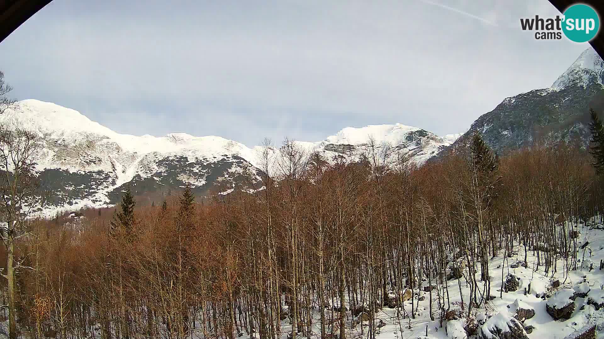 Webcam PLANINA RAZOR (1315) | Blick auf Vogel und Globoko