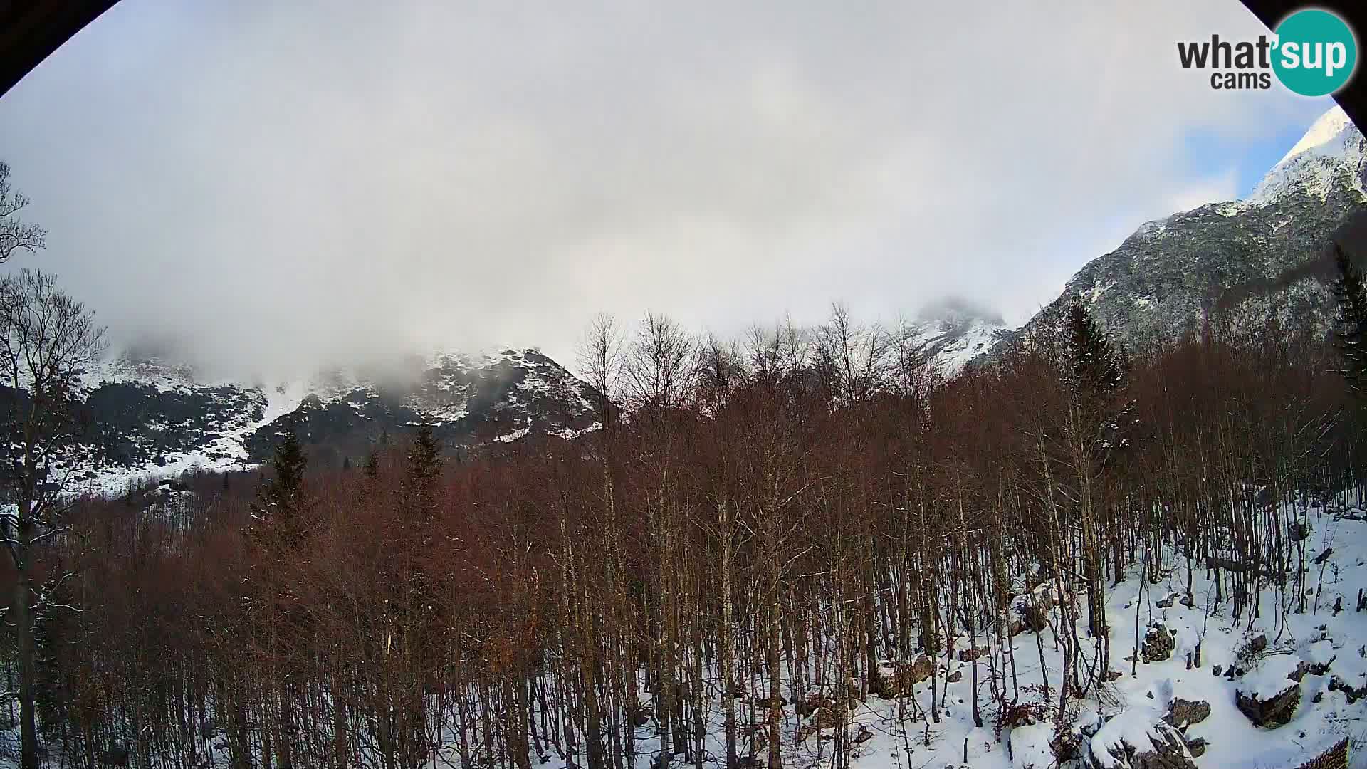 PLANINA RAZOR web kamera (1315) | pogled na Vogel i Globoko