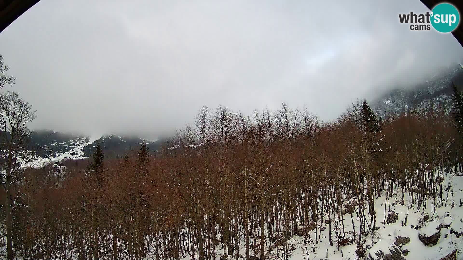 PLANINA RAZOR Live Cam (1315) | vista su Vogel e Globoko