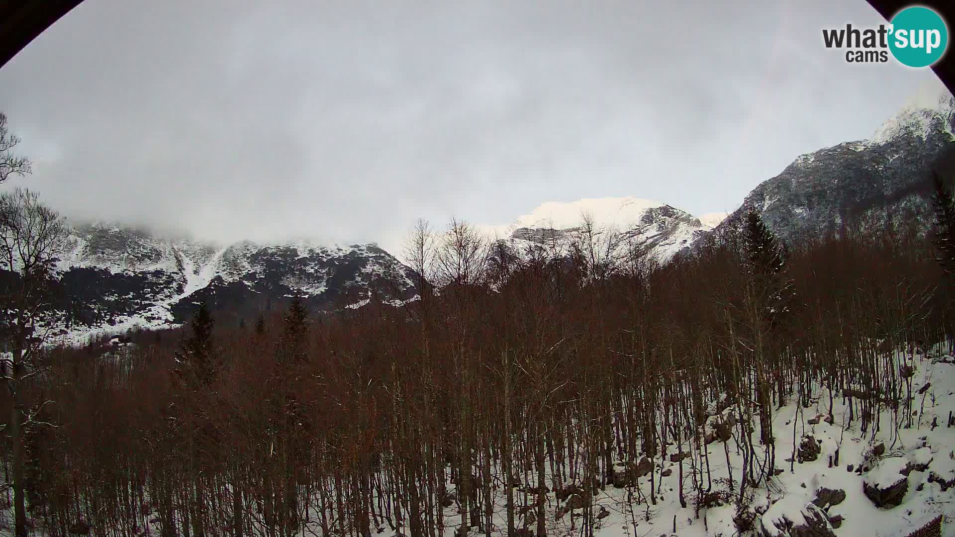 PLANINA RAZOR webcam (1315) | view to Vogel and Globoko