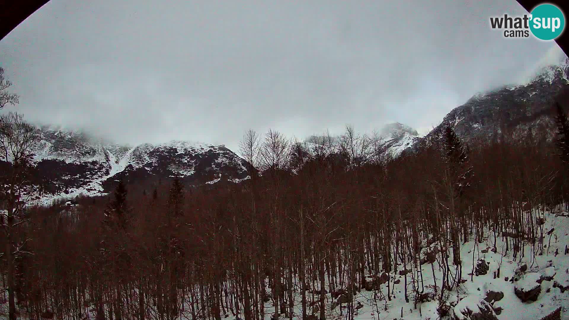 PLANINA RAZOR kamera (1315) | pogled na Vogel in Globoko