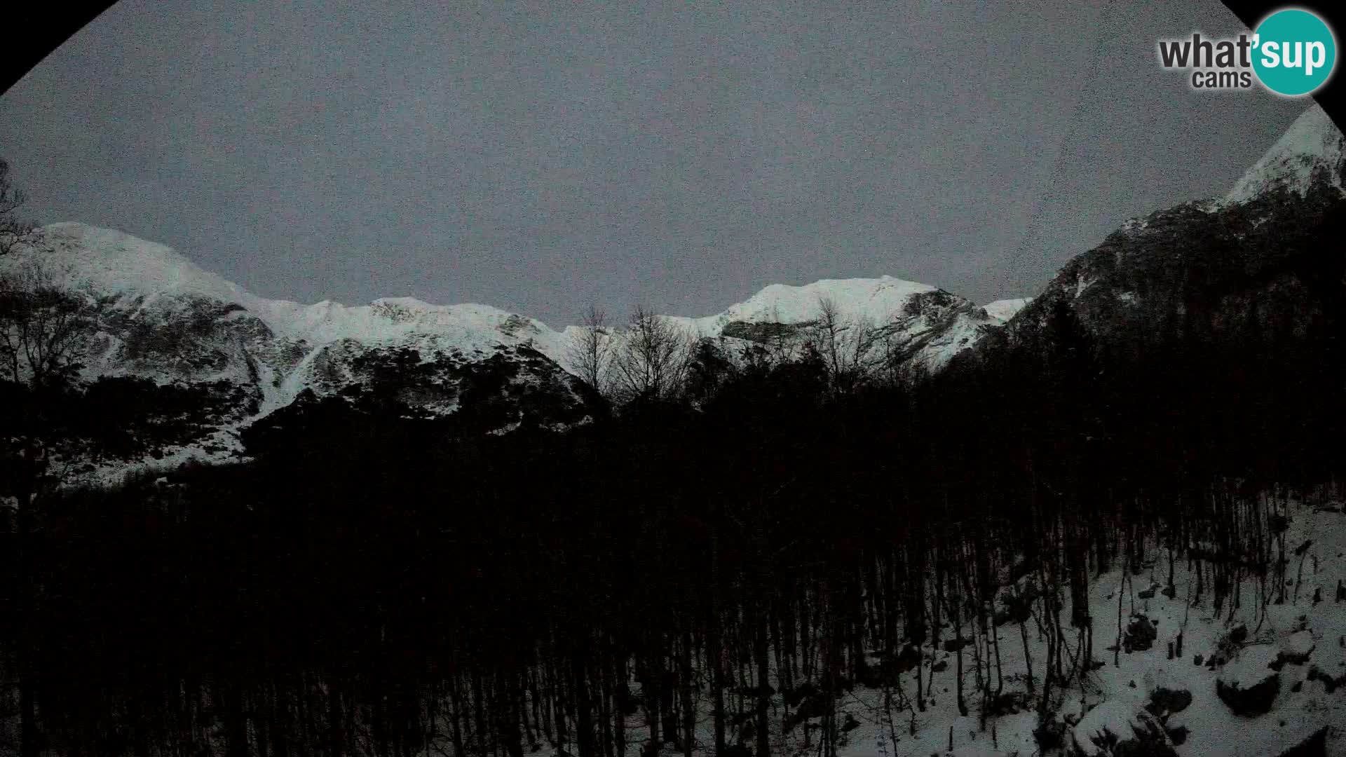 Livecam PLANINA RAZOR (1315) | vue sur Vogel et Globoko