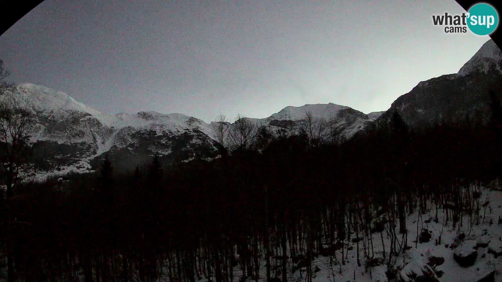 Livecam PLANINA RAZOR (1315) | vue sur Vogel et Globoko