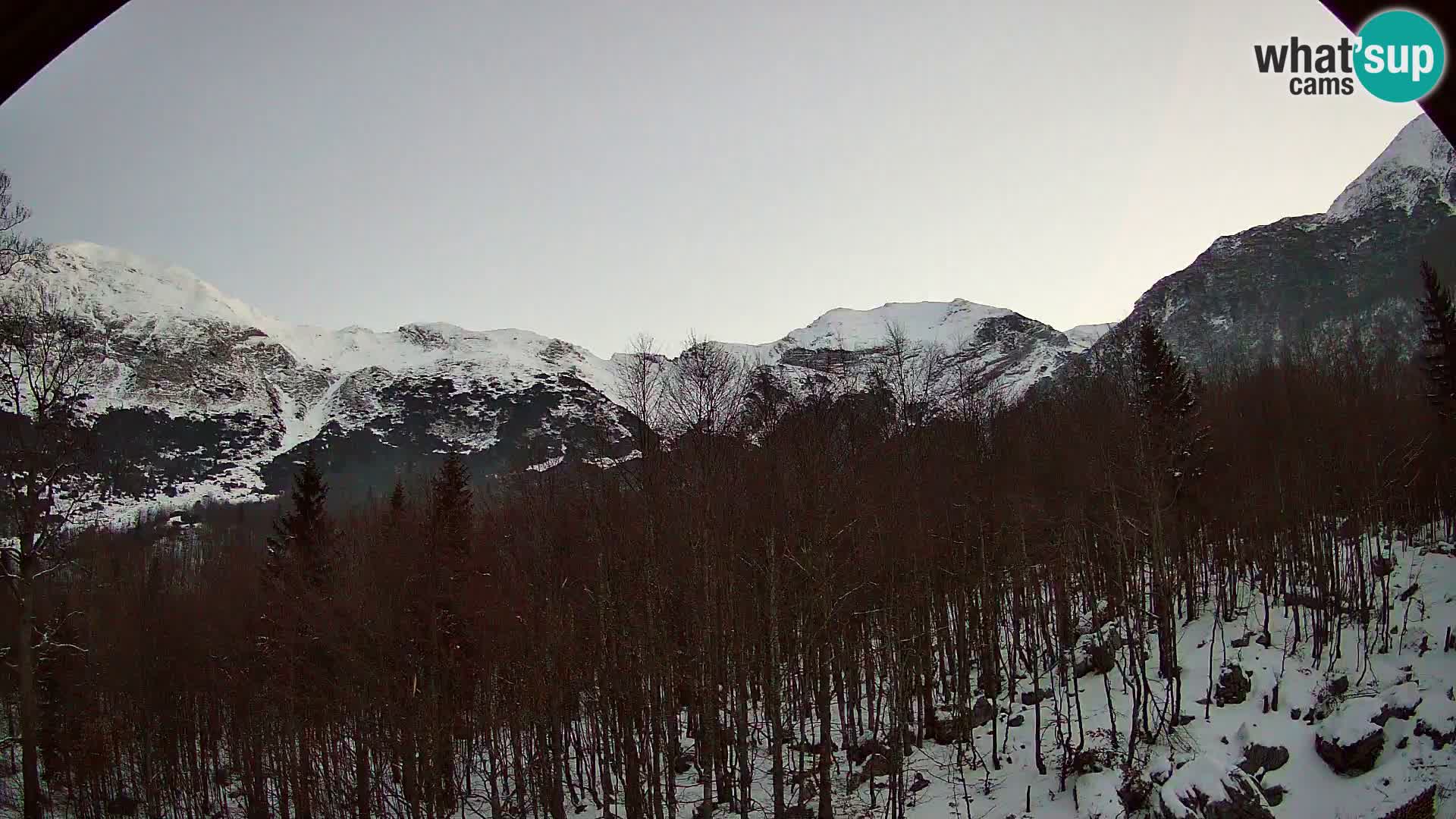 PLANINA RAZOR webcam (1315) | view to Vogel and Globoko