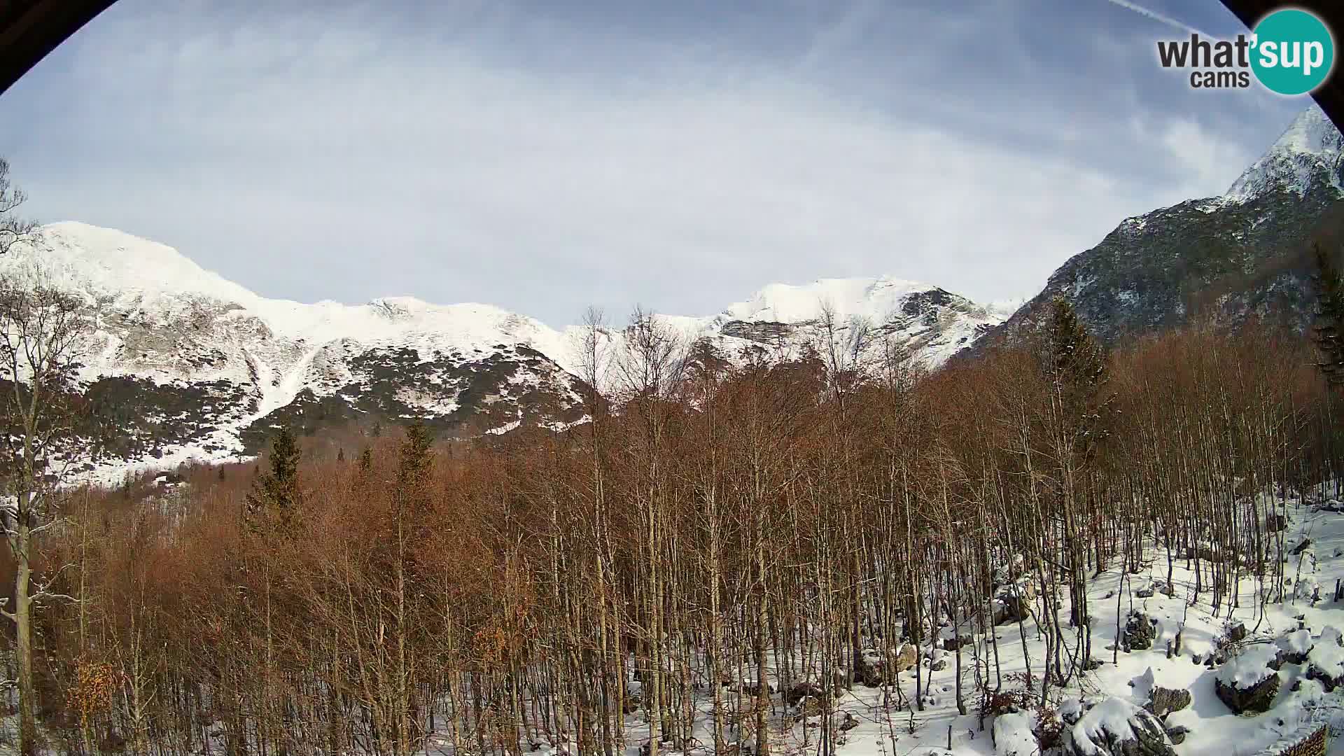Livecam PLANINA RAZOR (1315) | vue sur Vogel et Globoko