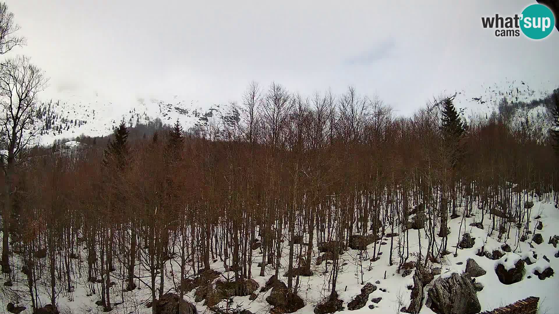 PLANINA RAZOR Live Cam (1315) | vista su Vogel e Globoko