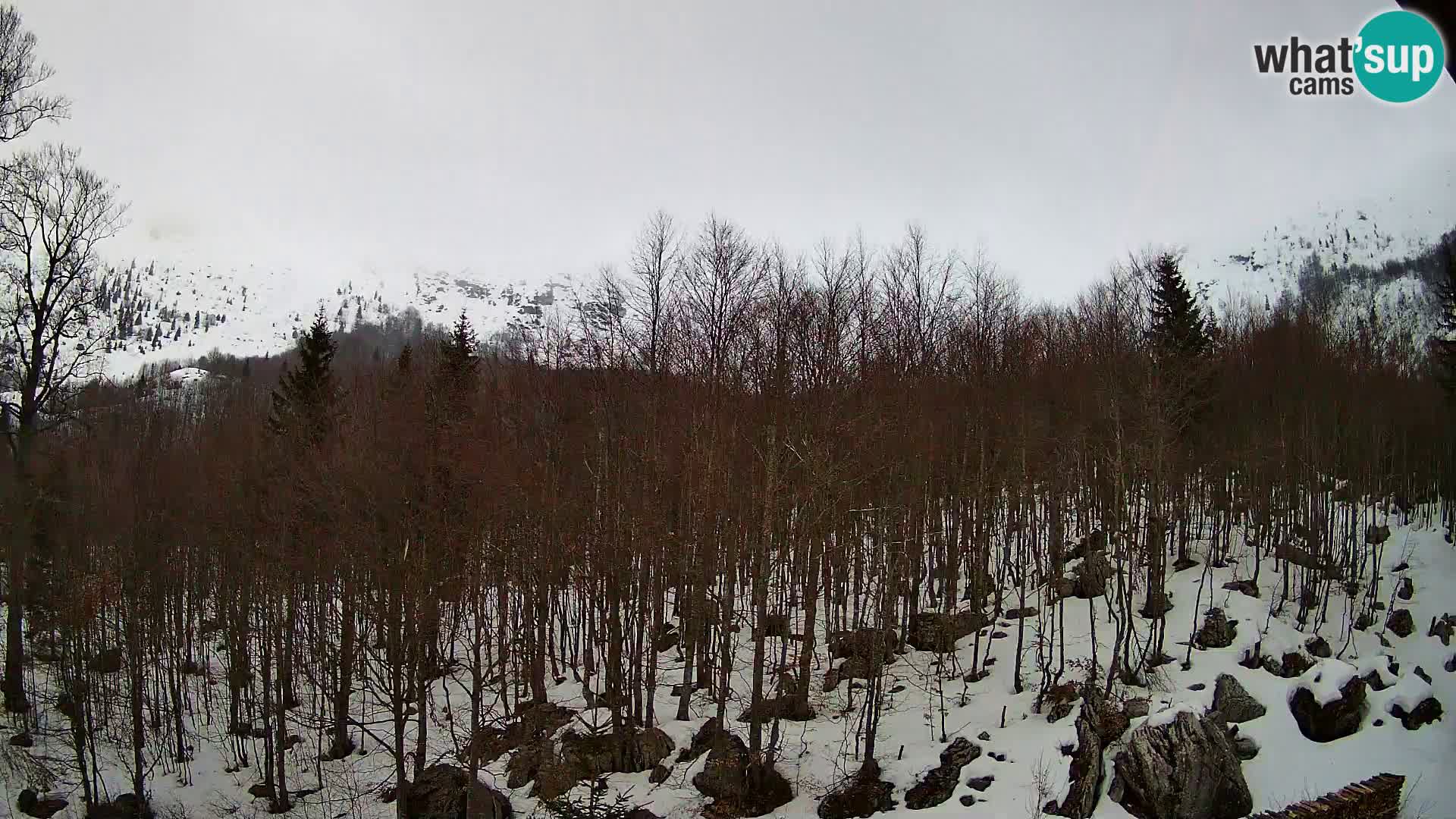 Cámara web PLANINA RAZOR (1315) | vista a Vogel y Globoko