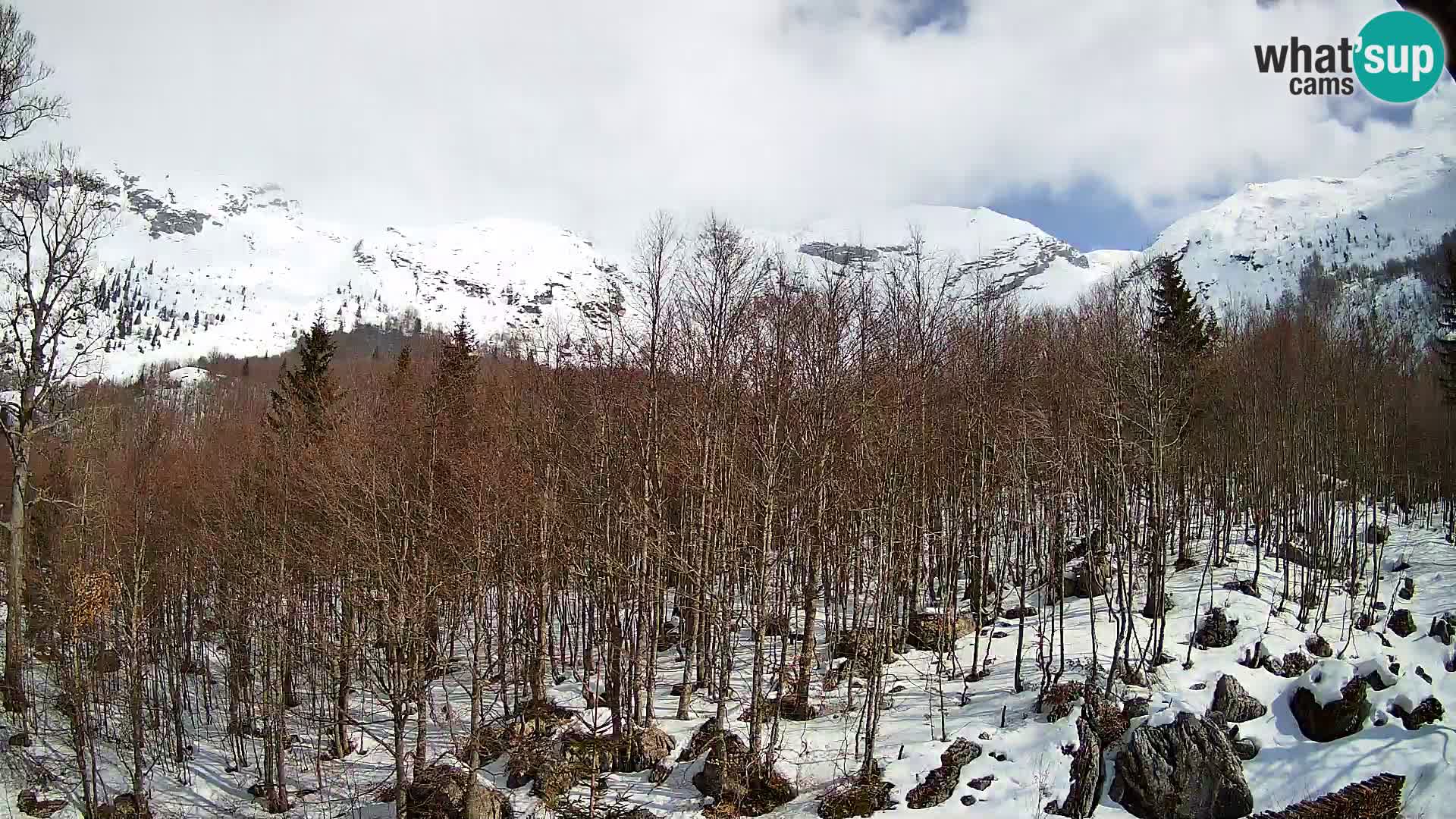 Webcam PLANINA RAZOR (1315) | Blick auf Vogel und Globoko