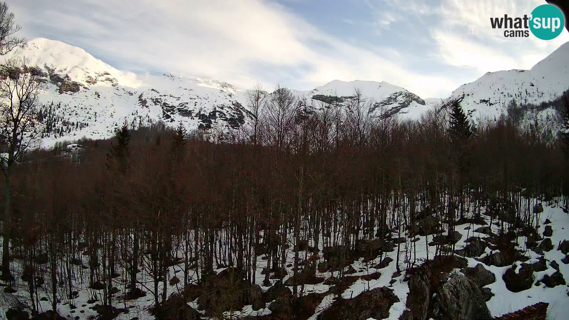 PLANINA RAZOR webcam (1315) | view to Vogel and Globoko
