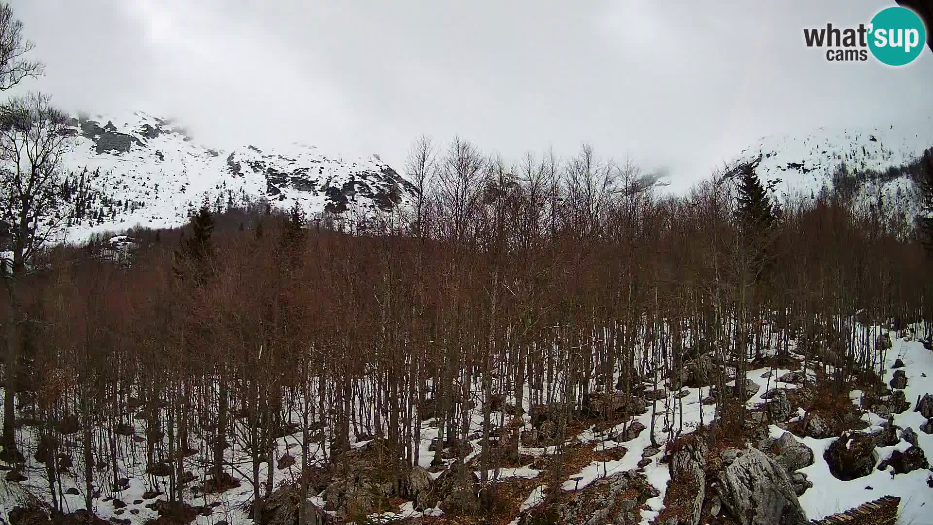 PLANINA RAZOR web kamera (1315) | pogled na Vogel i Globoko