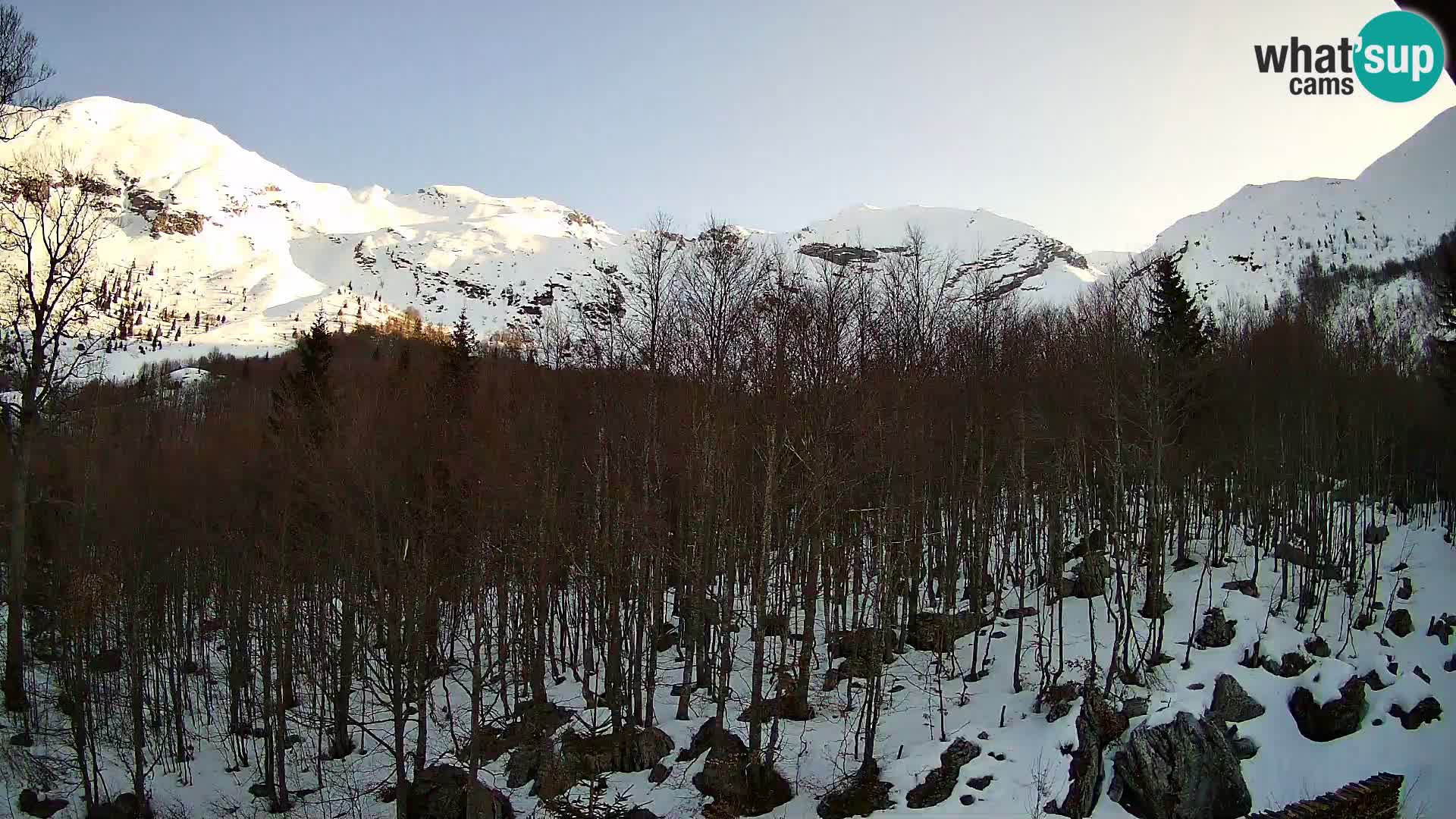 PLANINA RAZOR webcam (1315) | view to Vogel and Globoko