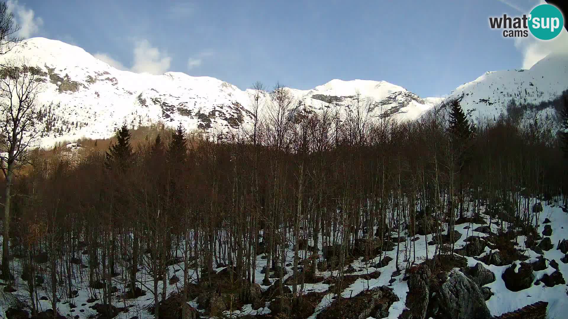 PLANINA RAZOR kamera (1315) | pogled na Vogel in Globoko