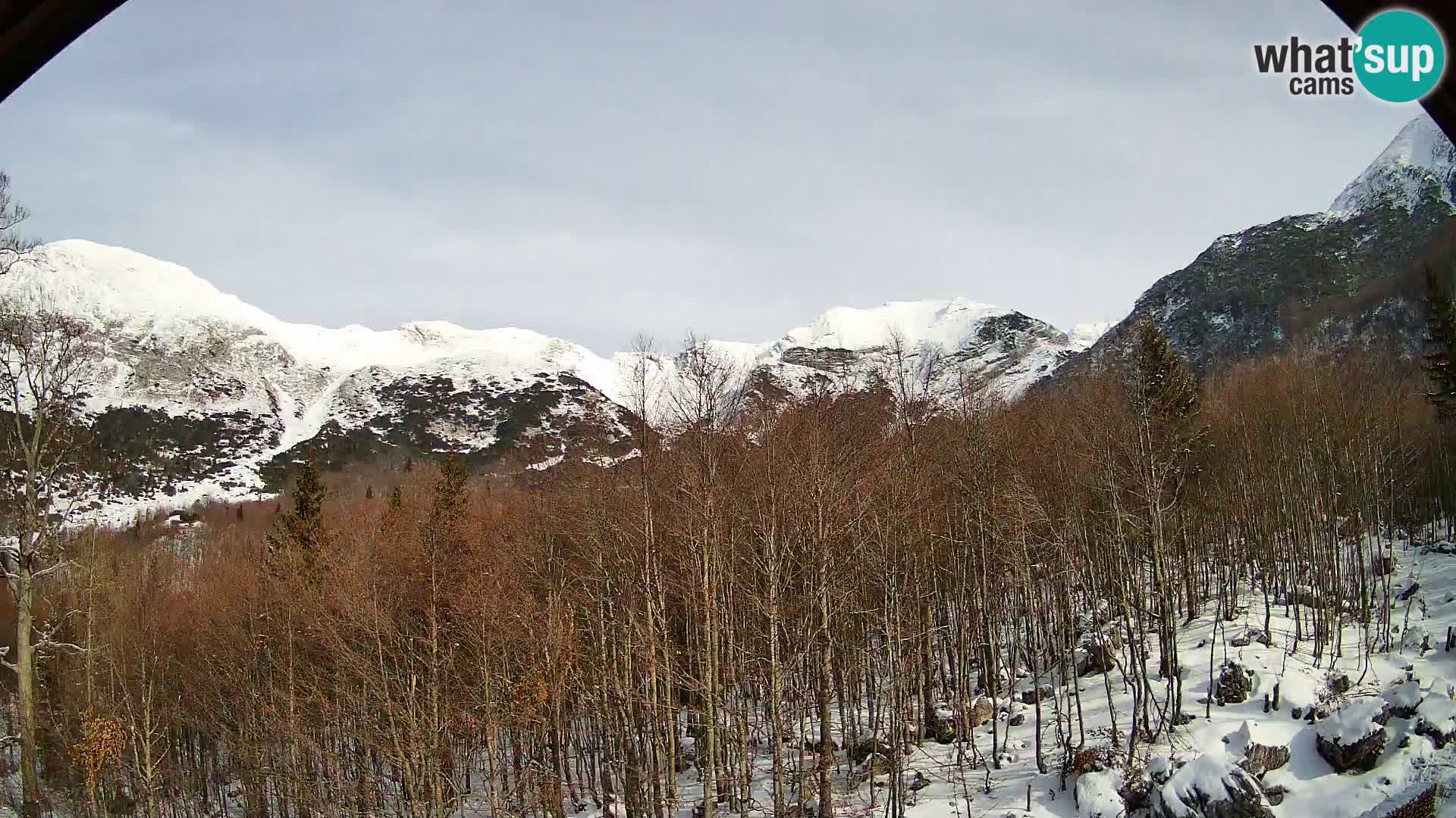 PLANINA RAZOR kamera (1315) | pogled na Vogel in Globoko