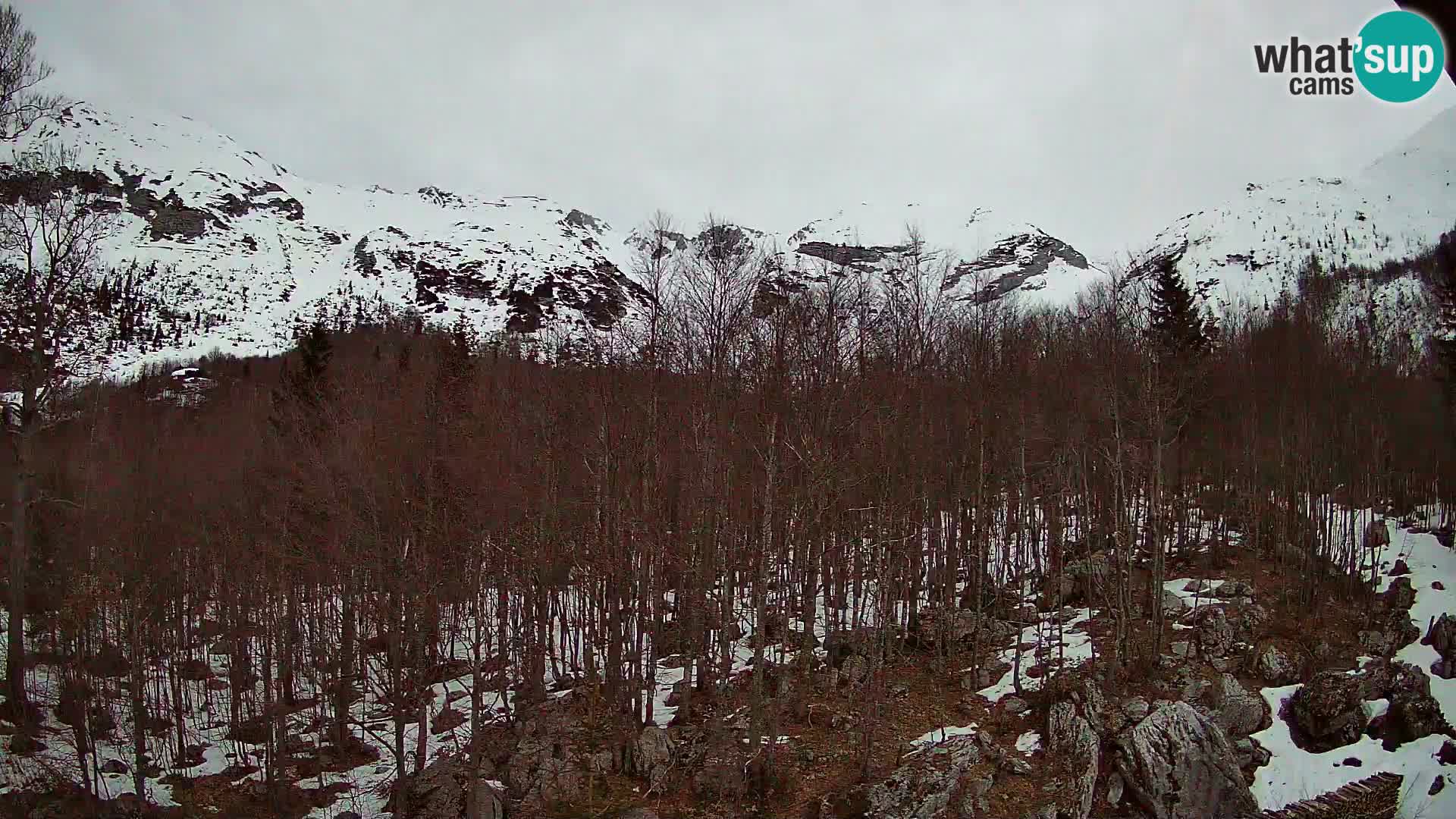 PLANINA RAZOR webcam (1315) | view to Vogel and Globoko