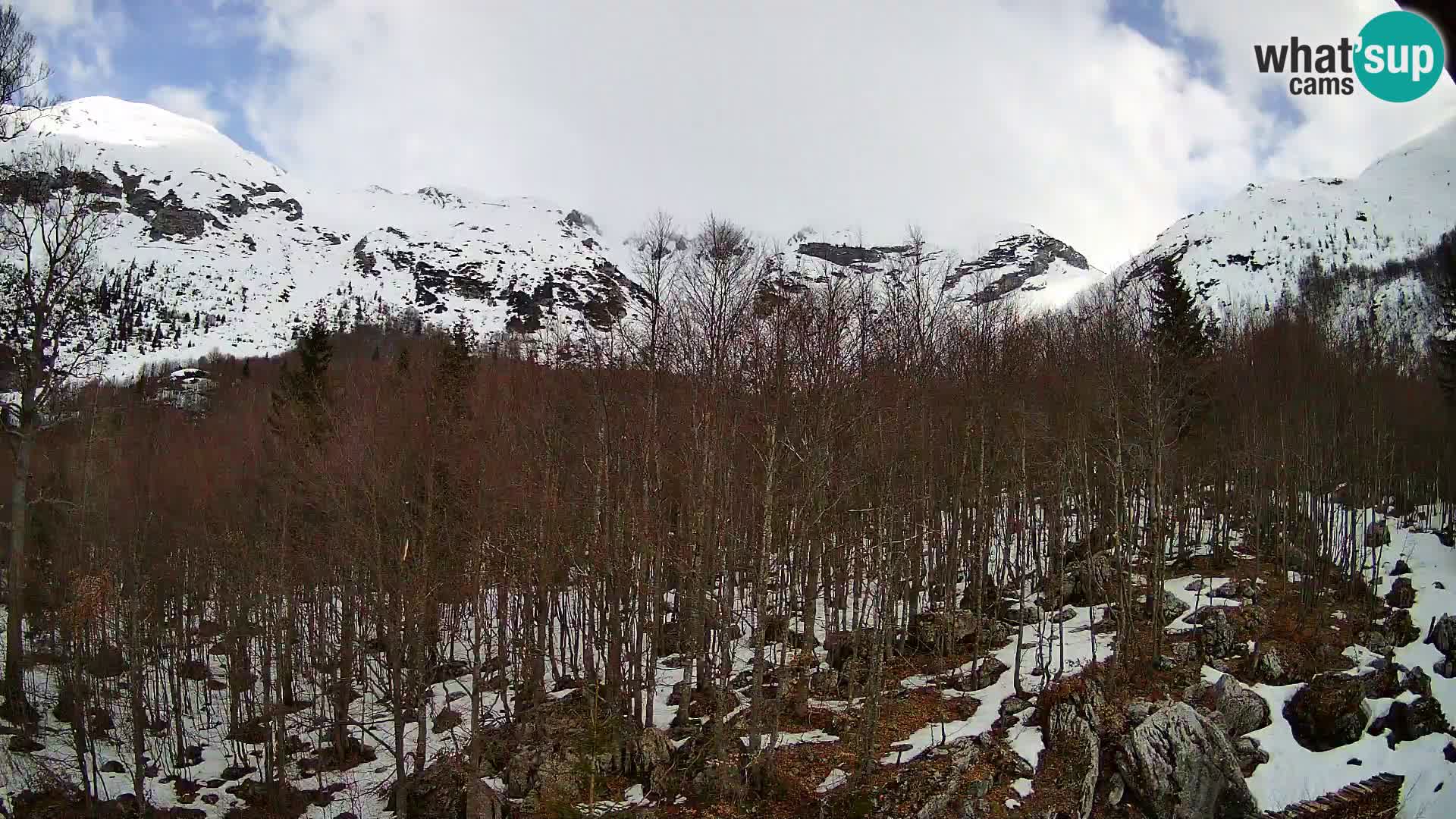PLANINA RAZOR kamera (1315) | pogled na Vogel in Globoko