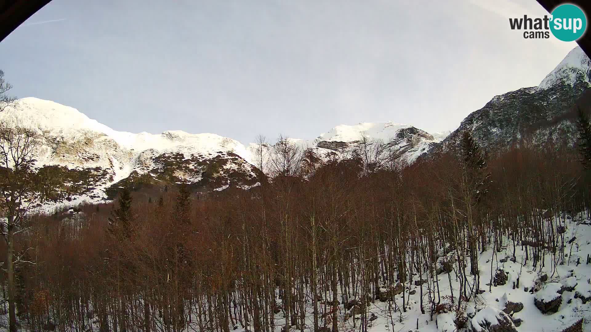 PLANINA RAZOR webcam (1315) | view to Vogel and Globoko