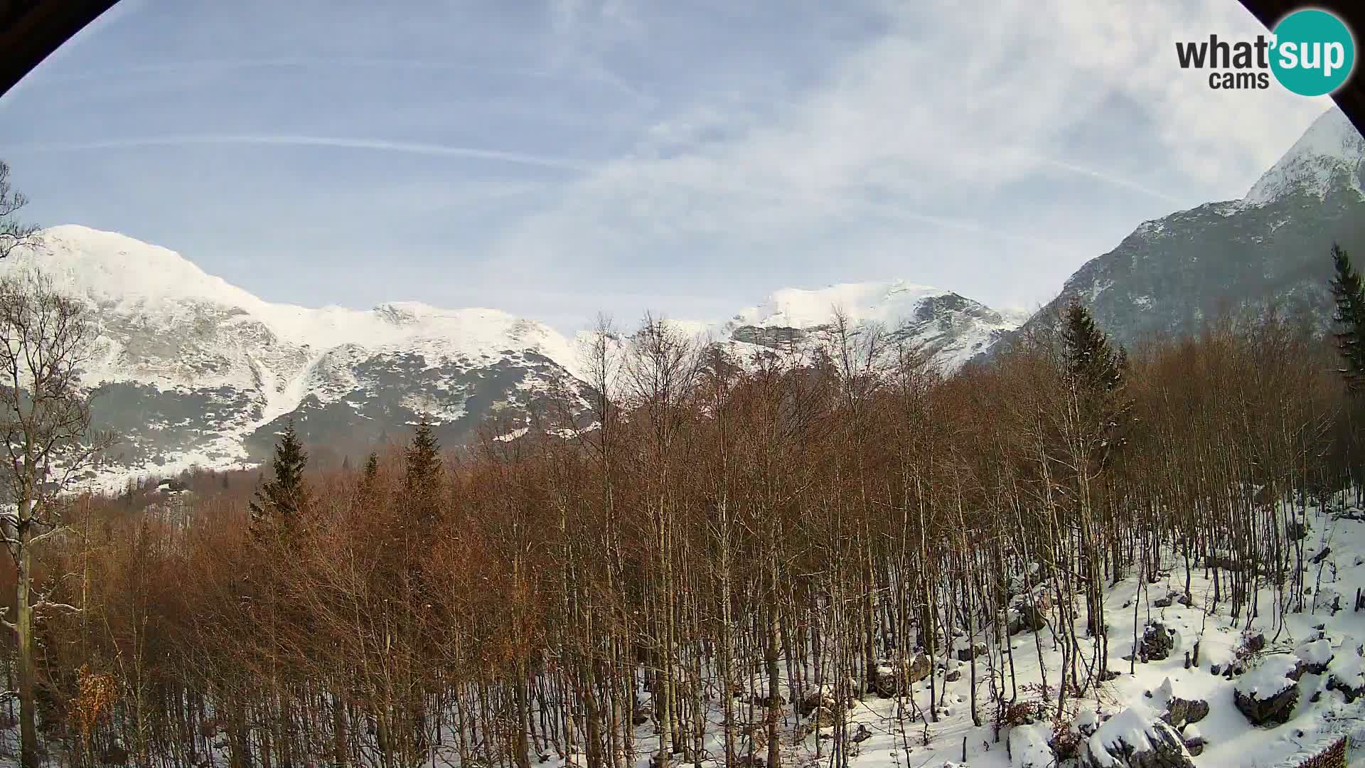 Cámara web PLANINA RAZOR (1315) | vista a Vogel y Globoko