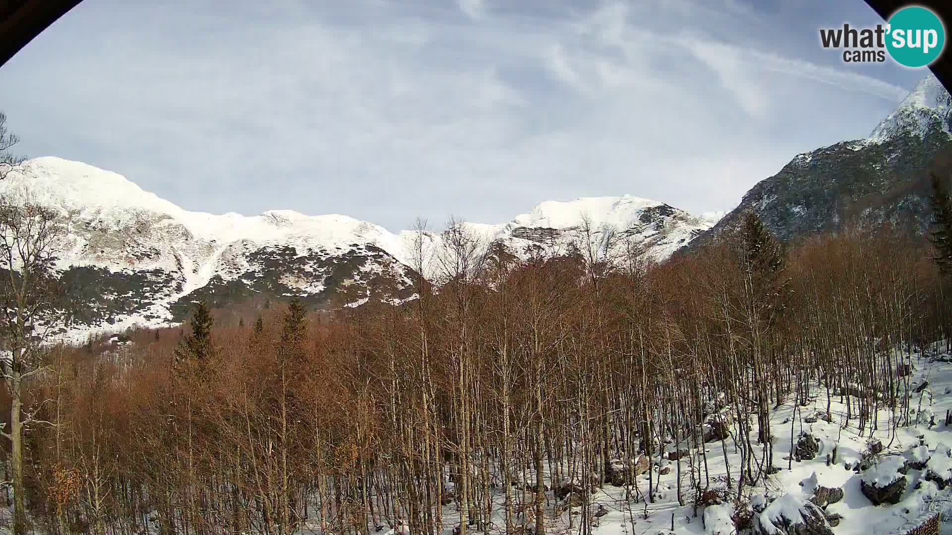 Livecam PLANINA RAZOR (1315) | vue sur Vogel et Globoko