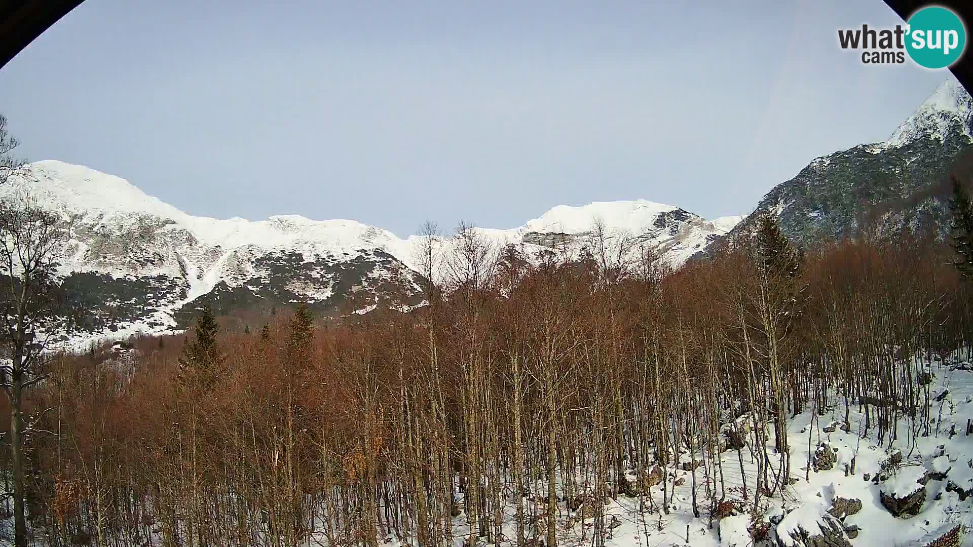 PLANINA RAZOR kamera (1315) | pogled na Vogel in Globoko