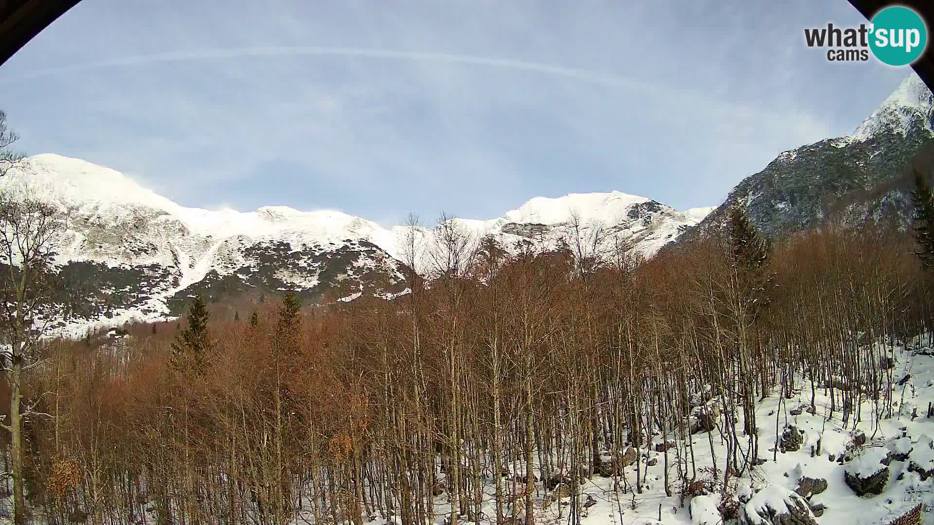 Webcam PLANINA RAZOR (1315) | Blick auf Vogel und Globoko