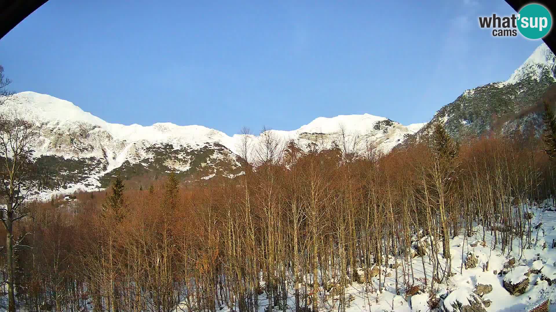 PLANINA RAZOR Live Cam (1315) | vista su Vogel e Globoko