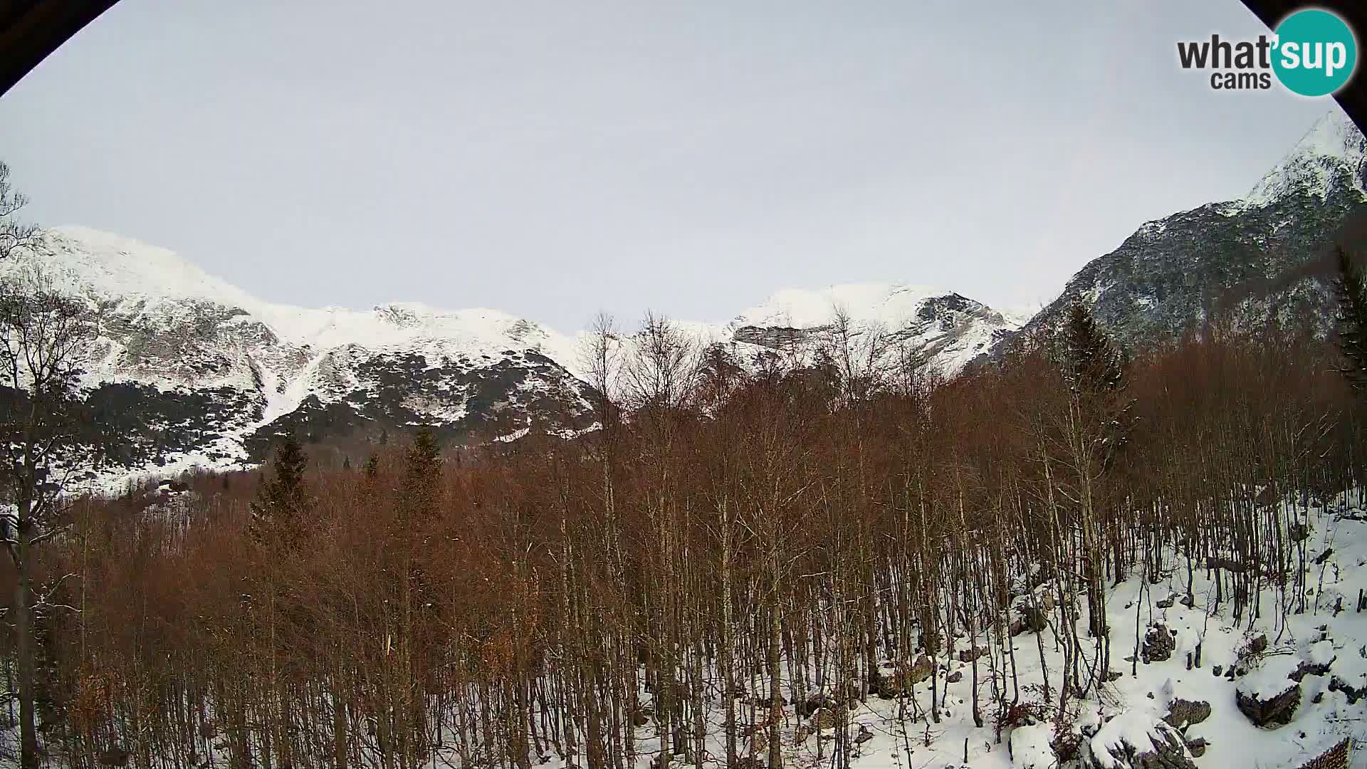 PLANINA RAZOR webcam (1315) | view to Vogel and Globoko