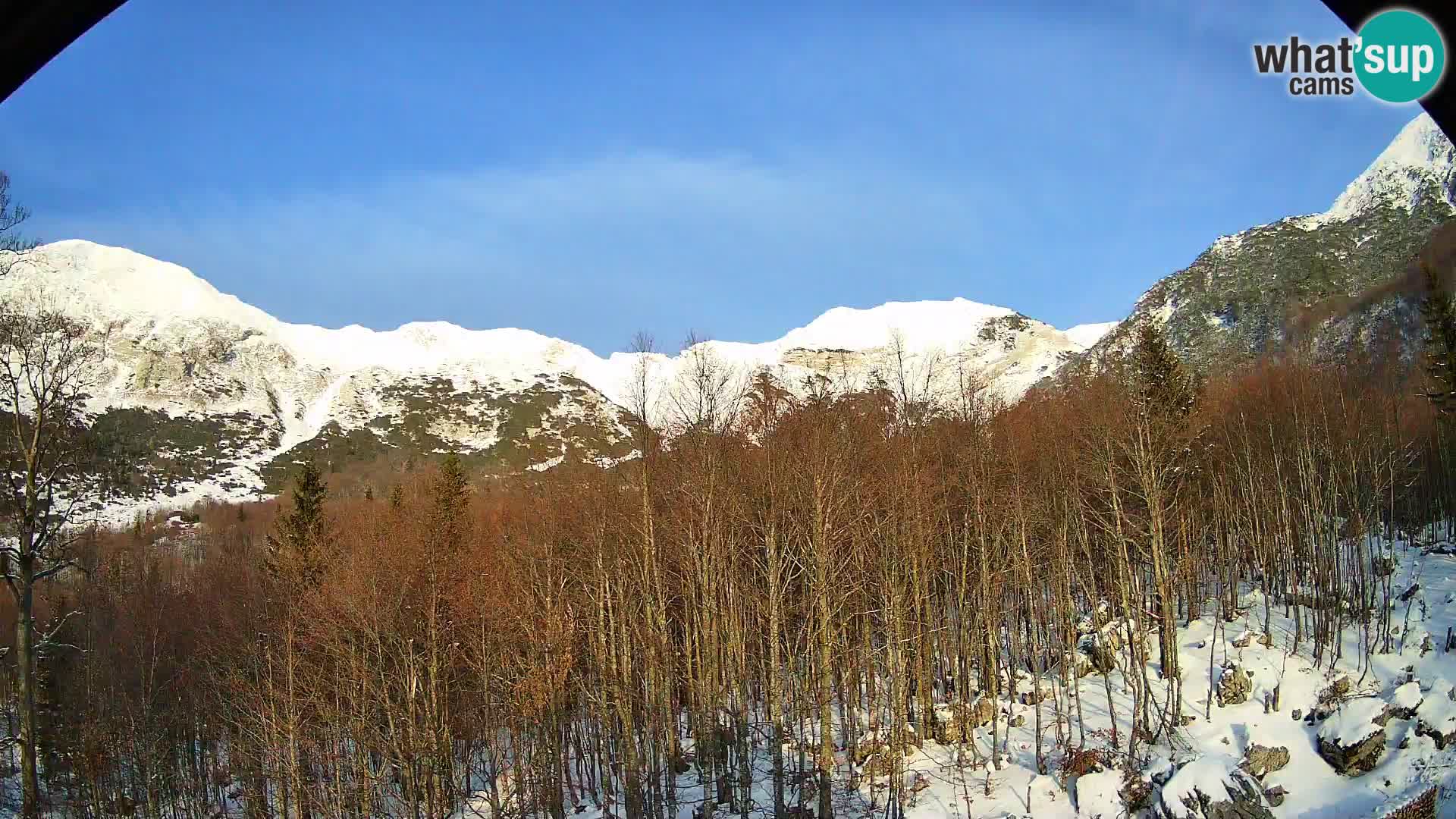PLANINA RAZOR webcam (1315) | view to Vogel and Globoko