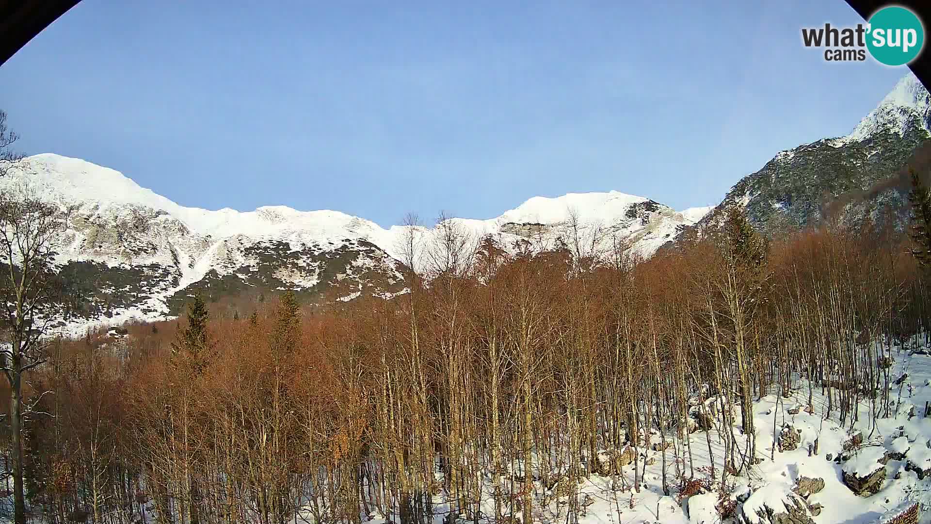 PLANINA RAZOR Live Cam (1315) | vista su Vogel e Globoko