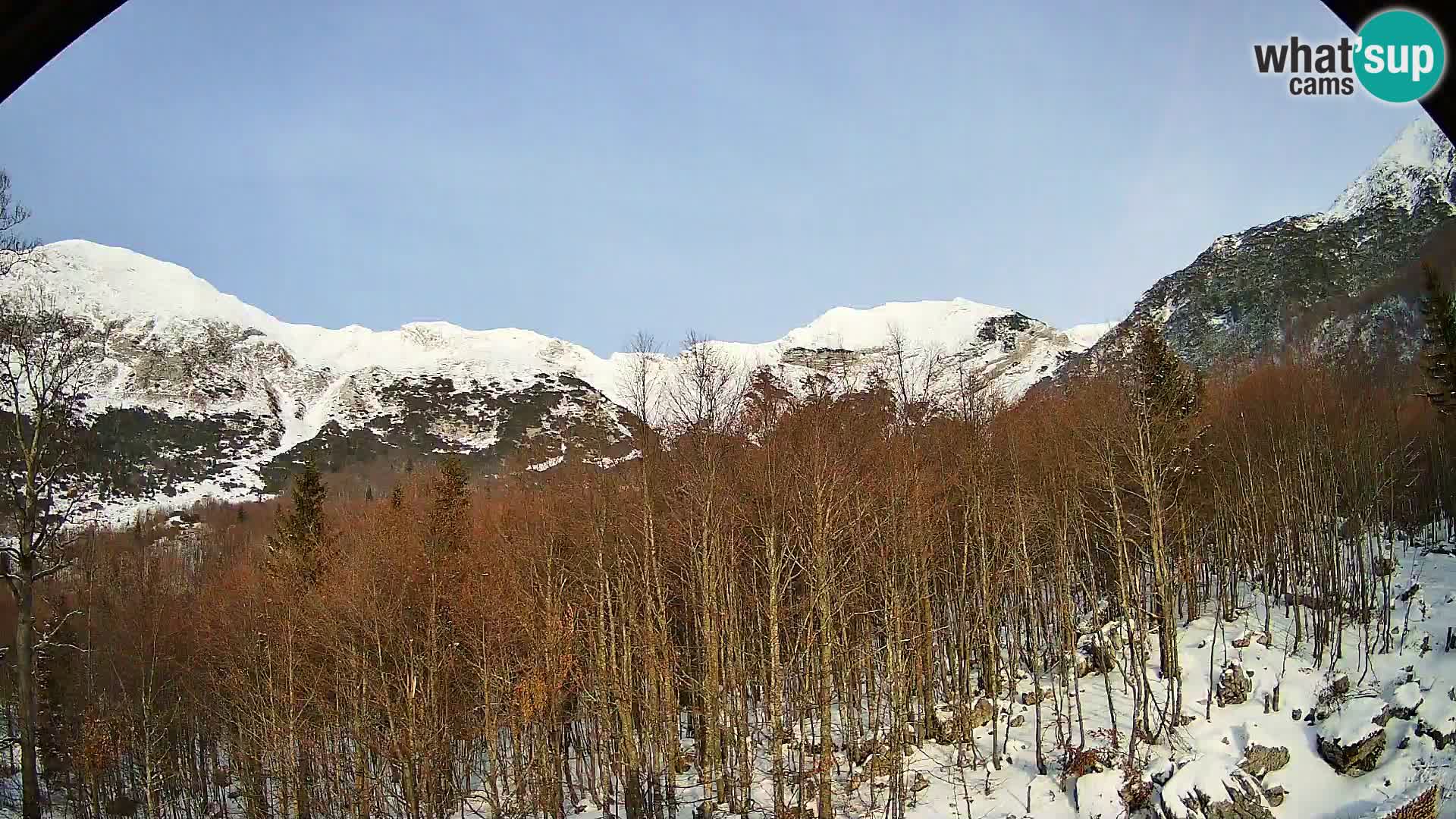 PLANINA RAZOR webcam (1315) | view to Vogel and Globoko