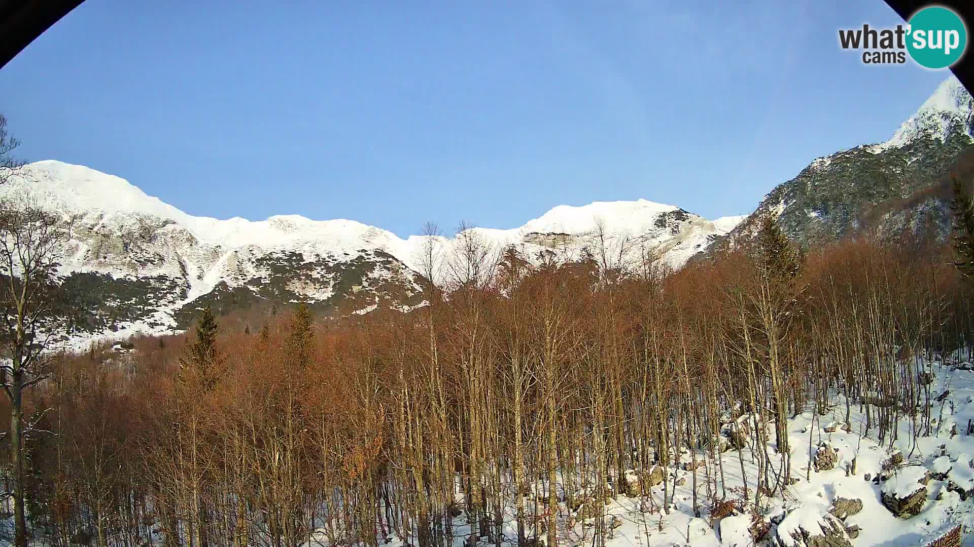 Livecam PLANINA RAZOR (1315) | vue sur Vogel et Globoko
