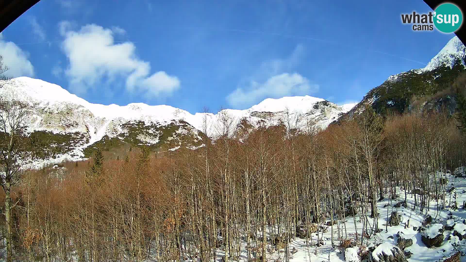 Cámara web PLANINA RAZOR (1315) | vista a Vogel y Globoko