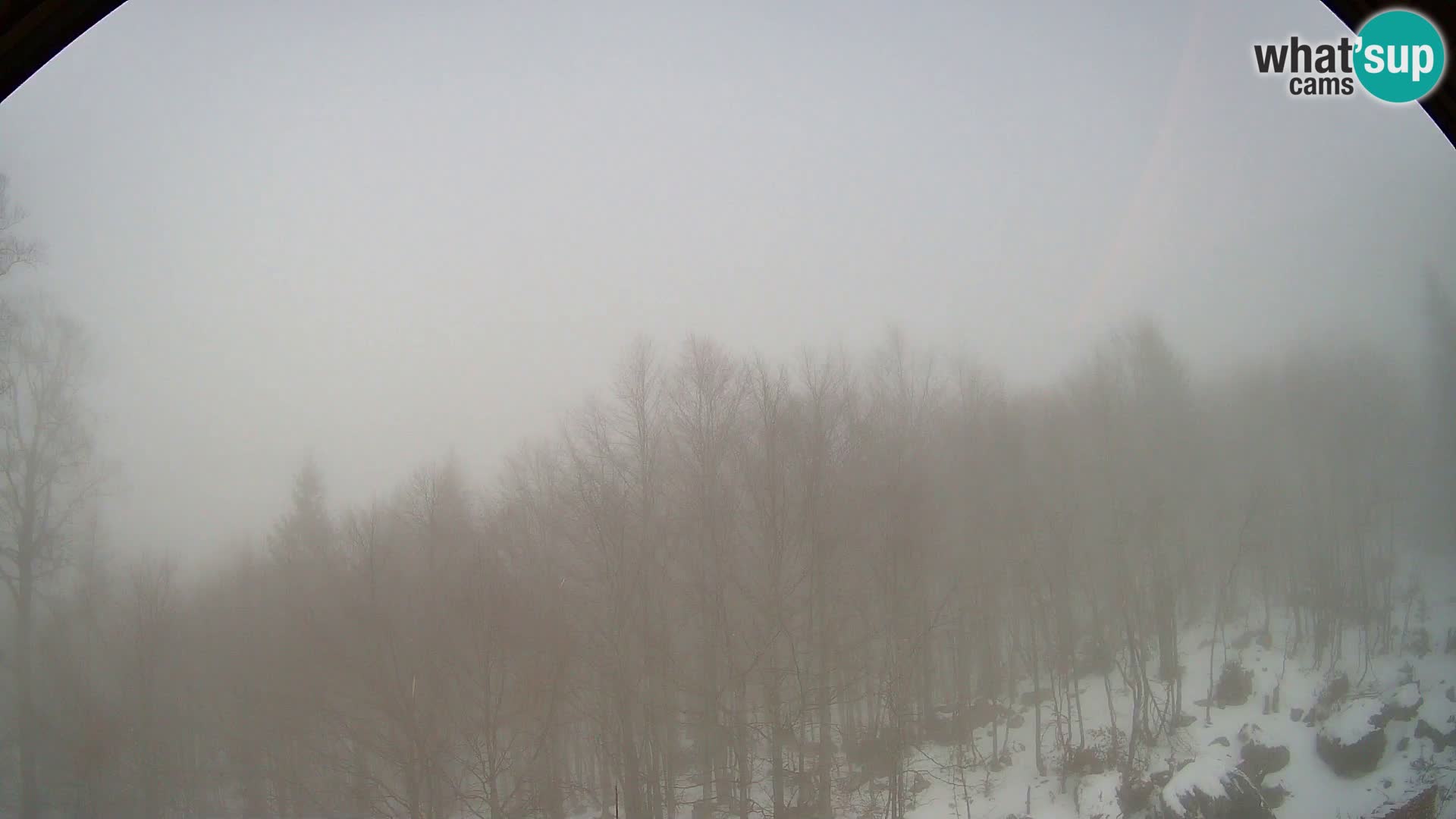 PLANINA RAZOR web kamera (1315) | pogled na Vogel i Globoko