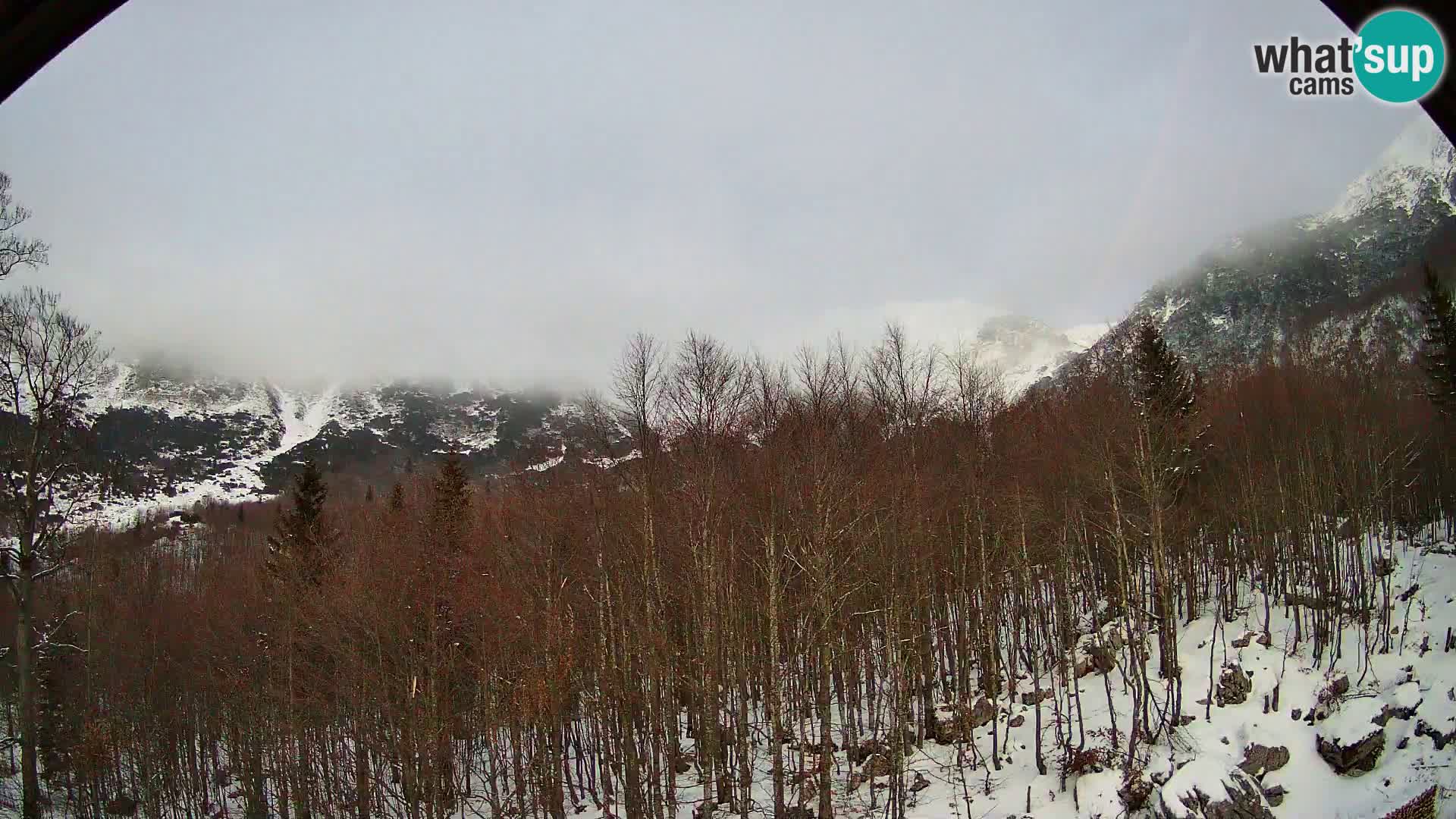 PLANINA RAZOR kamera (1315) | pogled na Vogel in Globoko