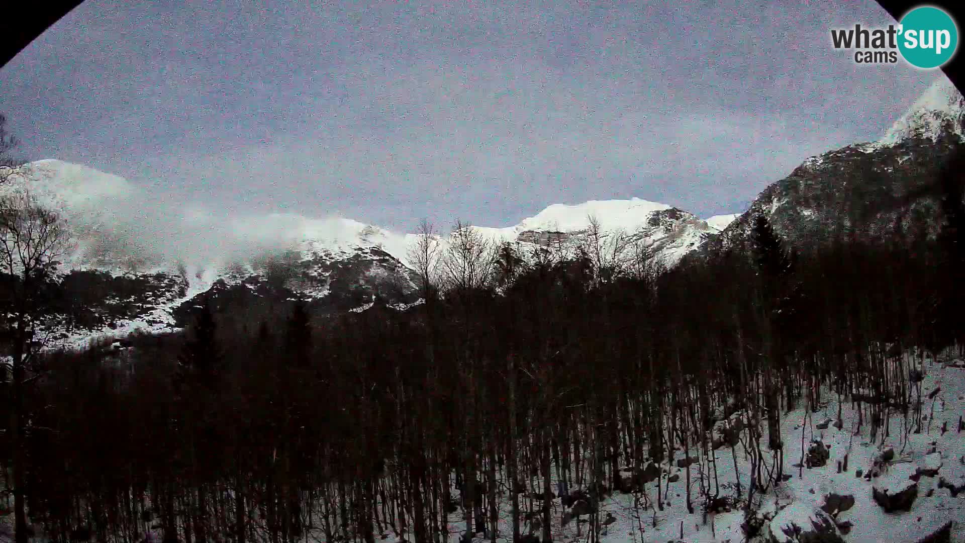 PLANINA RAZOR webcam (1315) | view to Vogel and Globoko