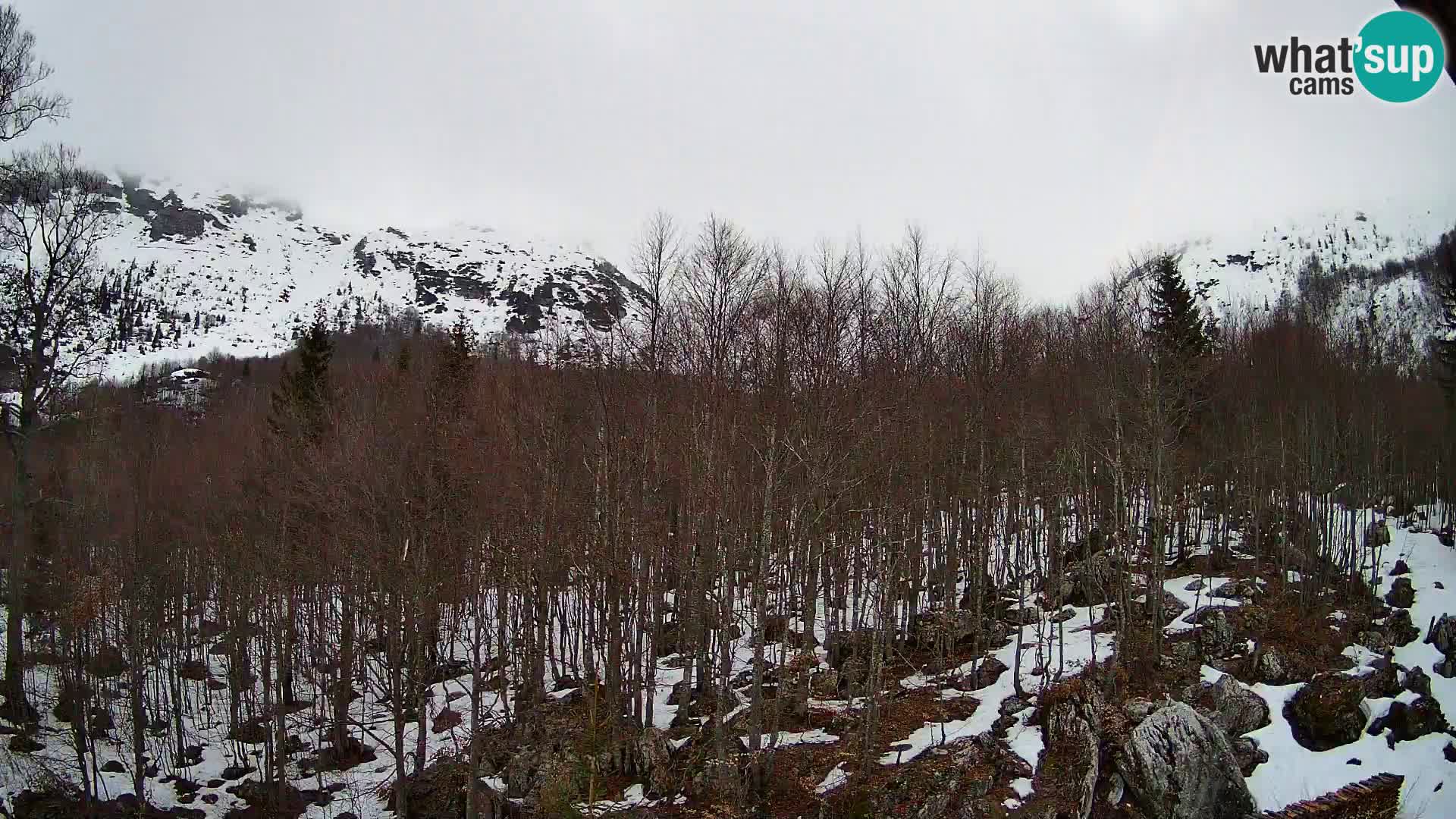 PLANINA RAZOR kamera (1315) | pogled na Vogel in Globoko