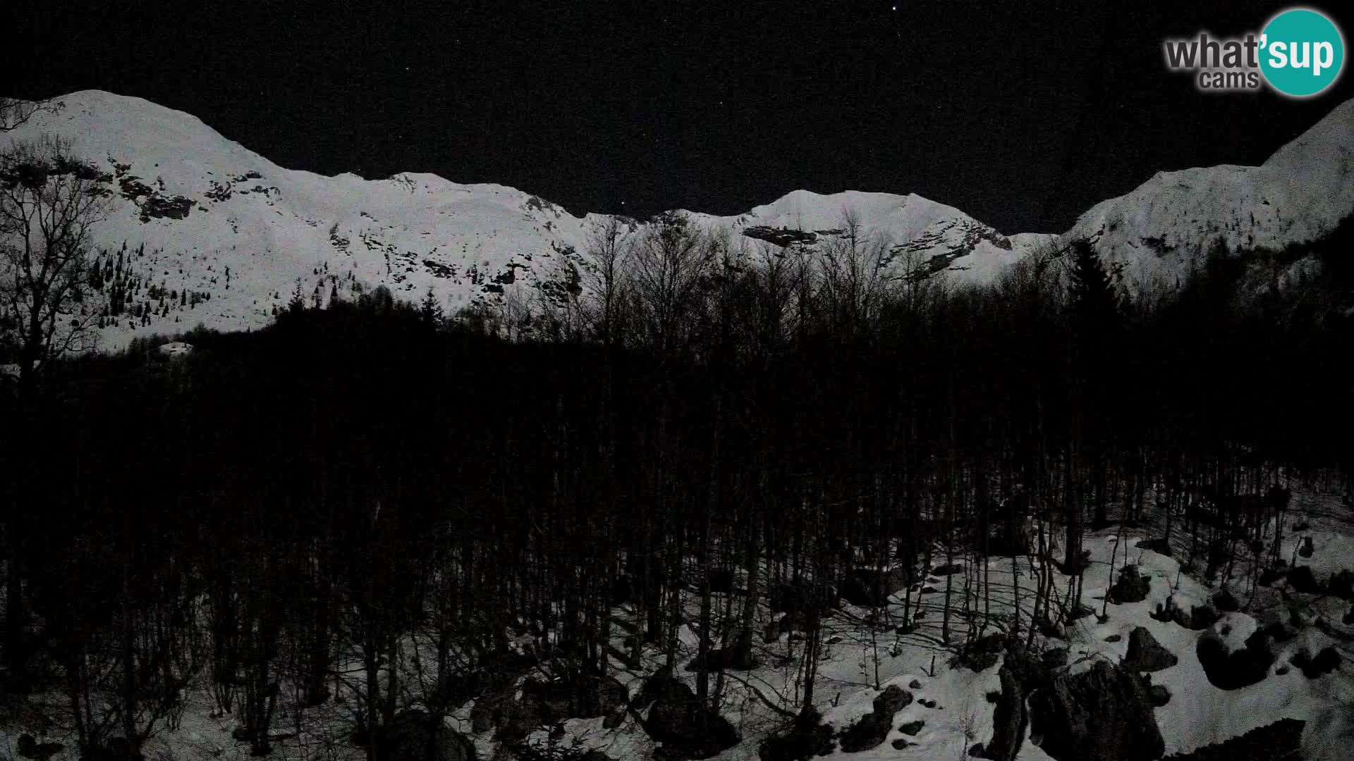 PLANINA RAZOR kamera (1315) | pogled na Vogel in Globoko