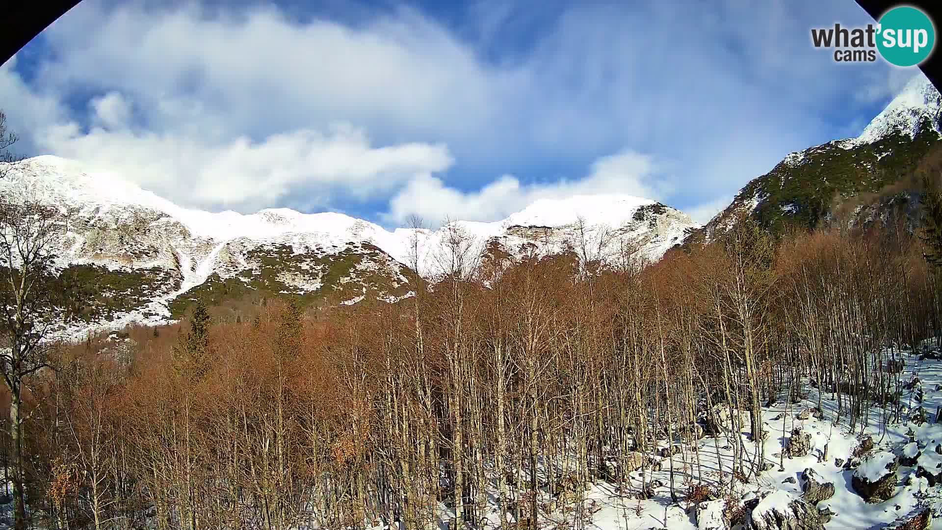 Webcam PLANINA RAZOR (1315) | Blick auf Vogel und Globoko