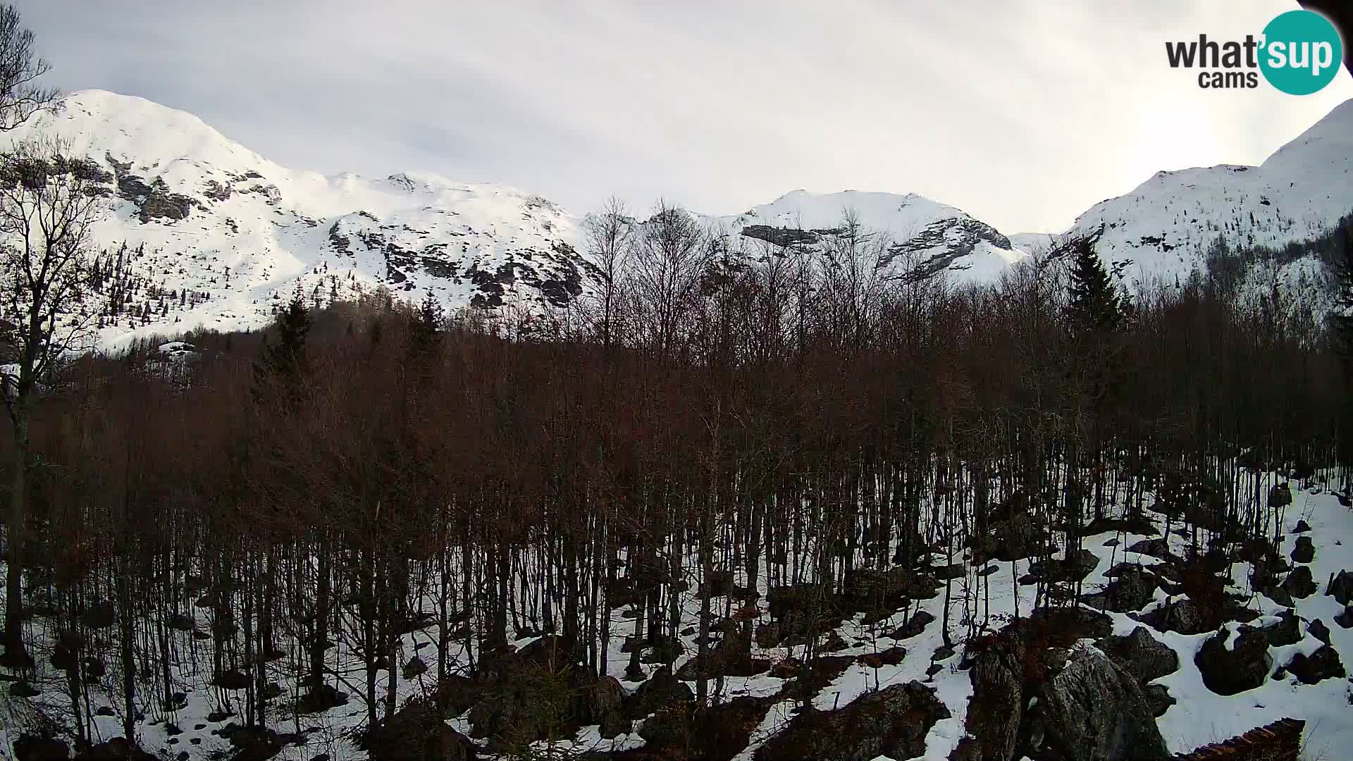 PLANINA RAZOR webcam (1315) | view to Vogel and Globoko