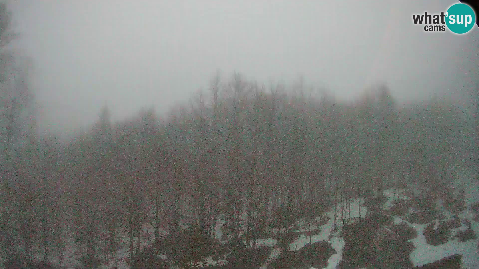 Webcam PLANINA RAZOR (1315) | Blick auf Vogel und Globoko