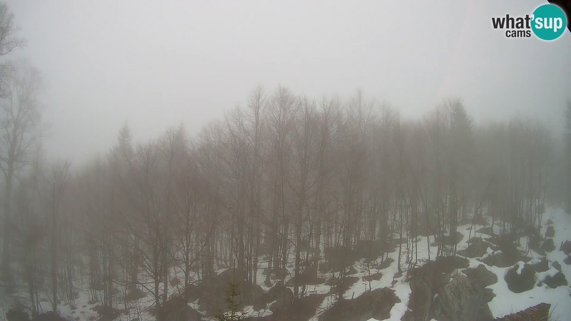 PLANINA RAZOR webcam (1315) | view to Vogel and Globoko