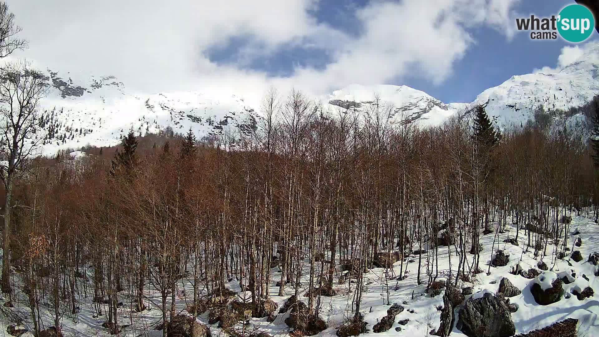 PLANINA RAZOR webcam (1315) | view to Vogel and Globoko