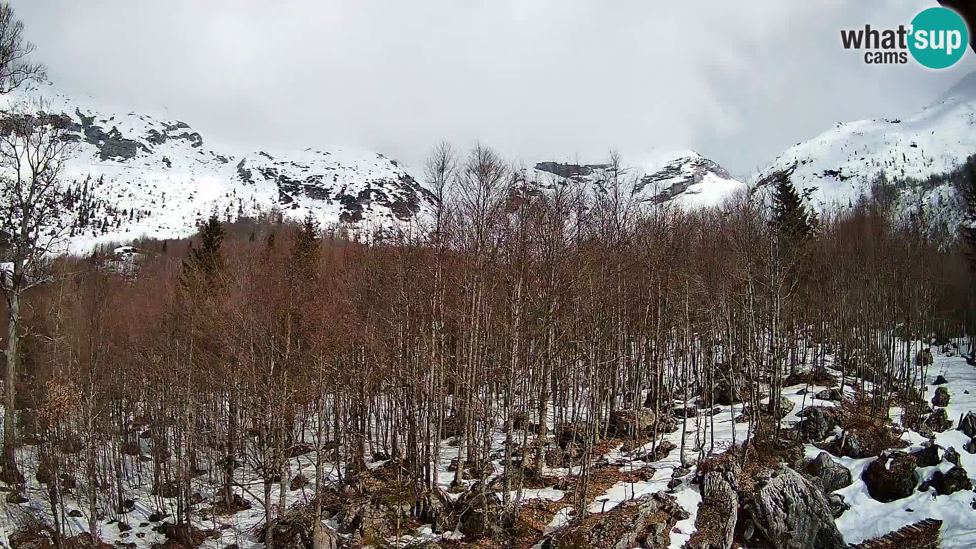 PLANINA RAZOR webcam (1315) | view to Vogel and Globoko