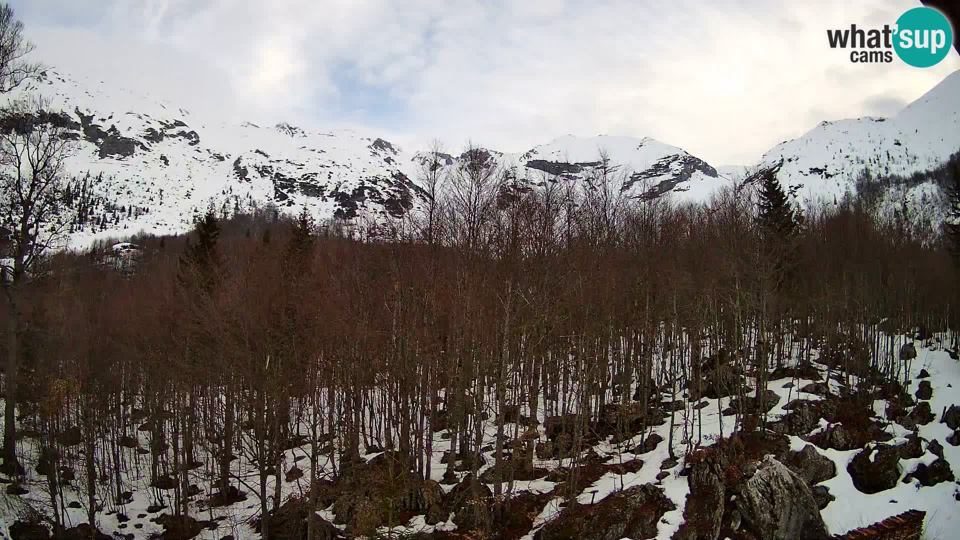 PLANINA RAZOR webcam (1315) | view to Vogel and Globoko